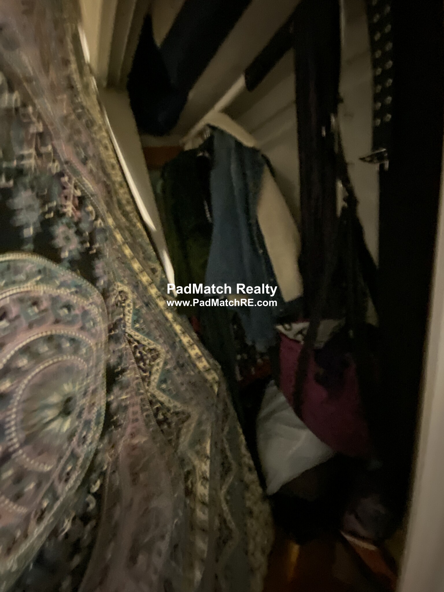 11 Scottfield Rd, Brighton