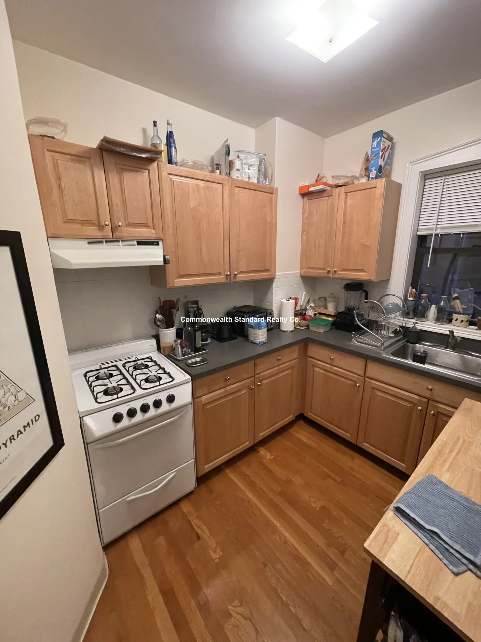 4 Park Vale Ave, Allston