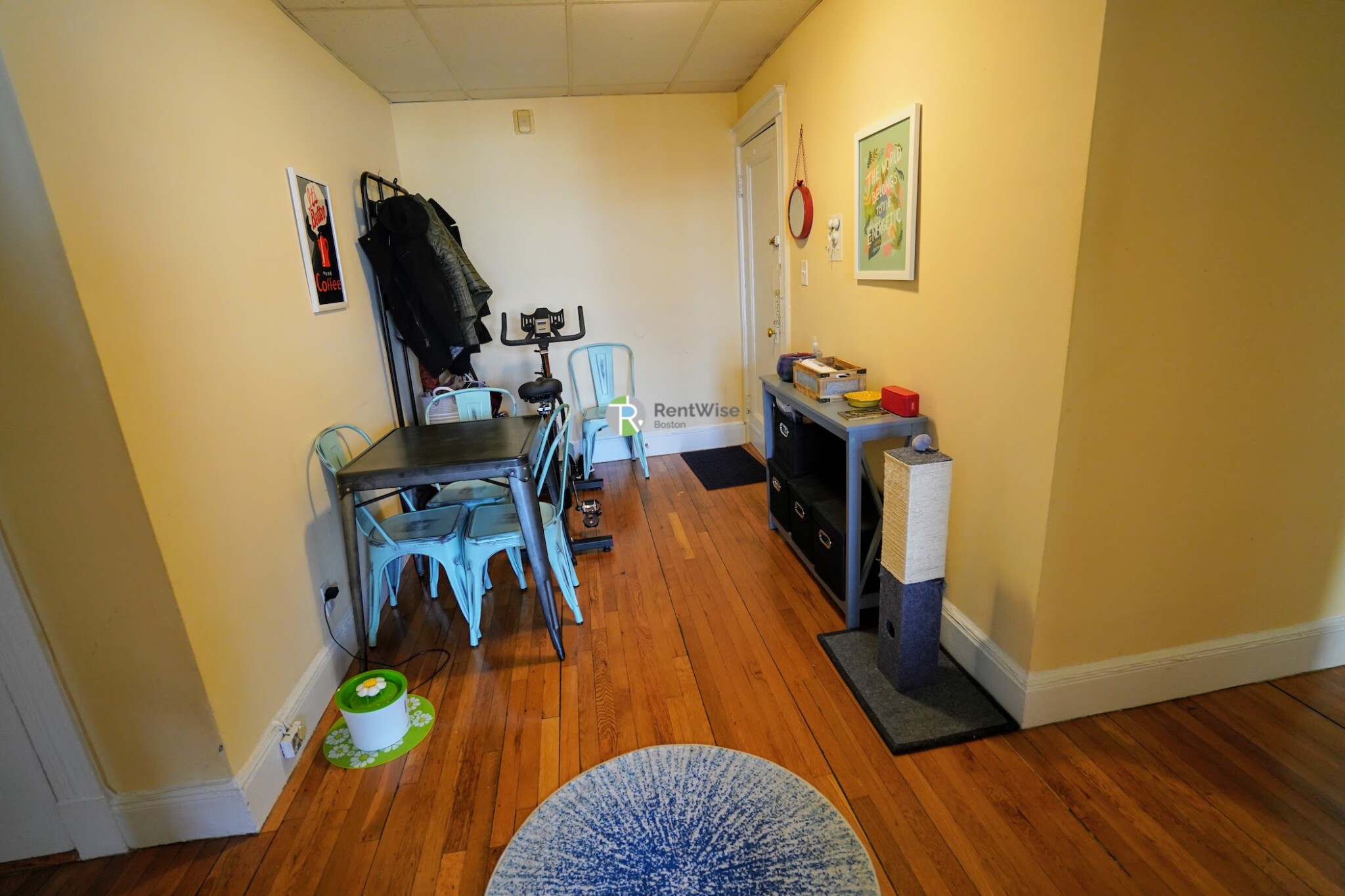 7 Carol Ave, Brighton