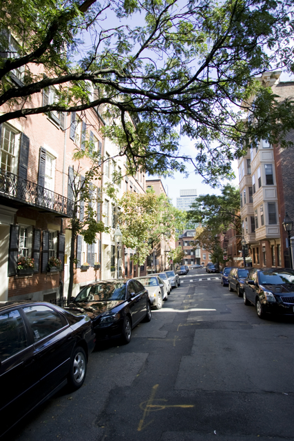 1 bed, 1 bath apartment for rent at 59 Phillips St Unit 7, Beacon Hill — photo 11 of 12