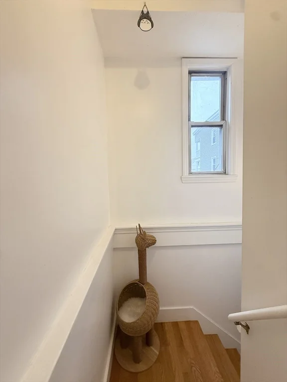 9 Marion St, Union Square