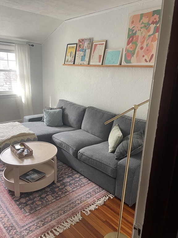 17 Clark Rd, Brookline