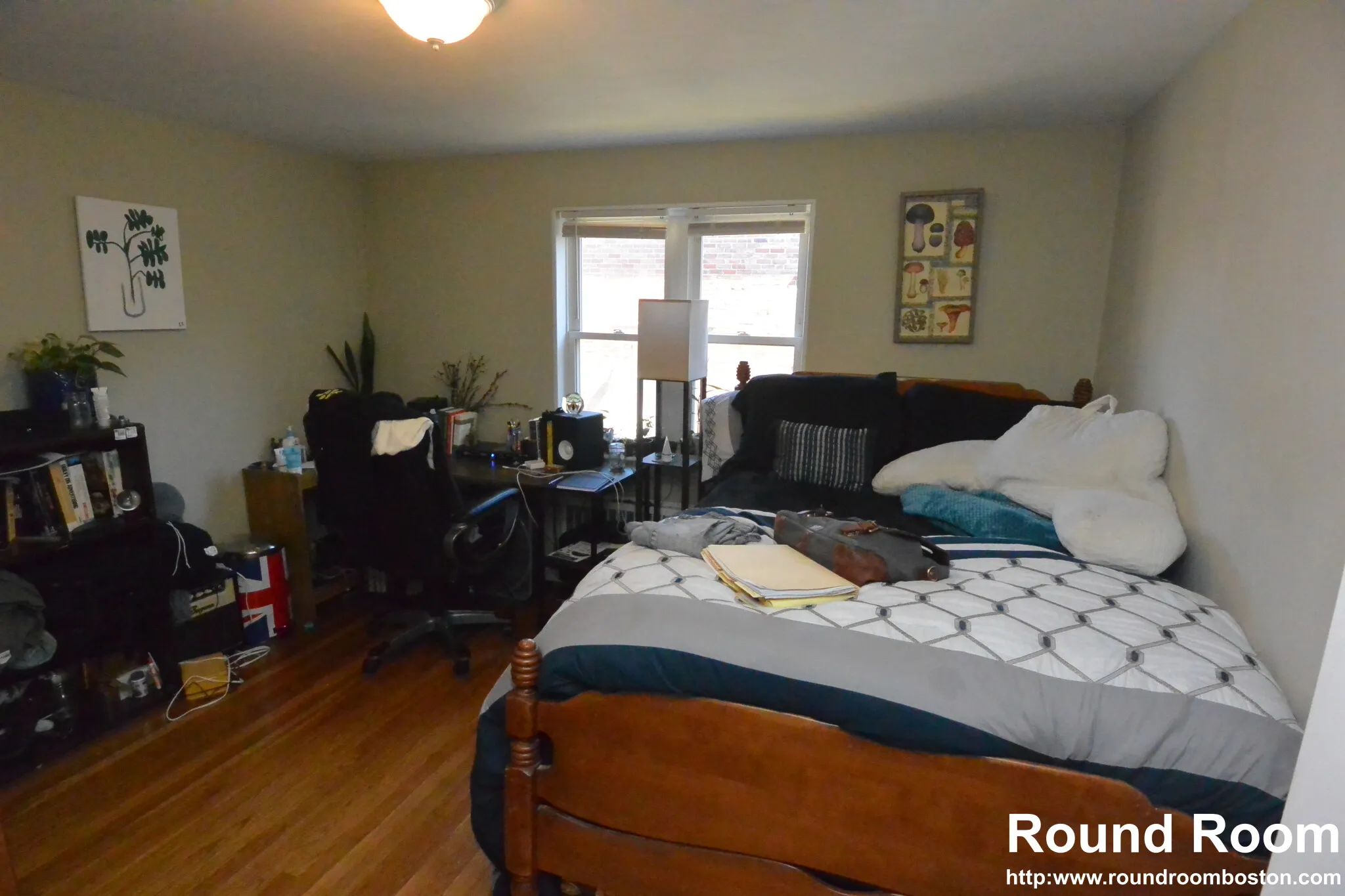 271 Corey Rd, Brighton