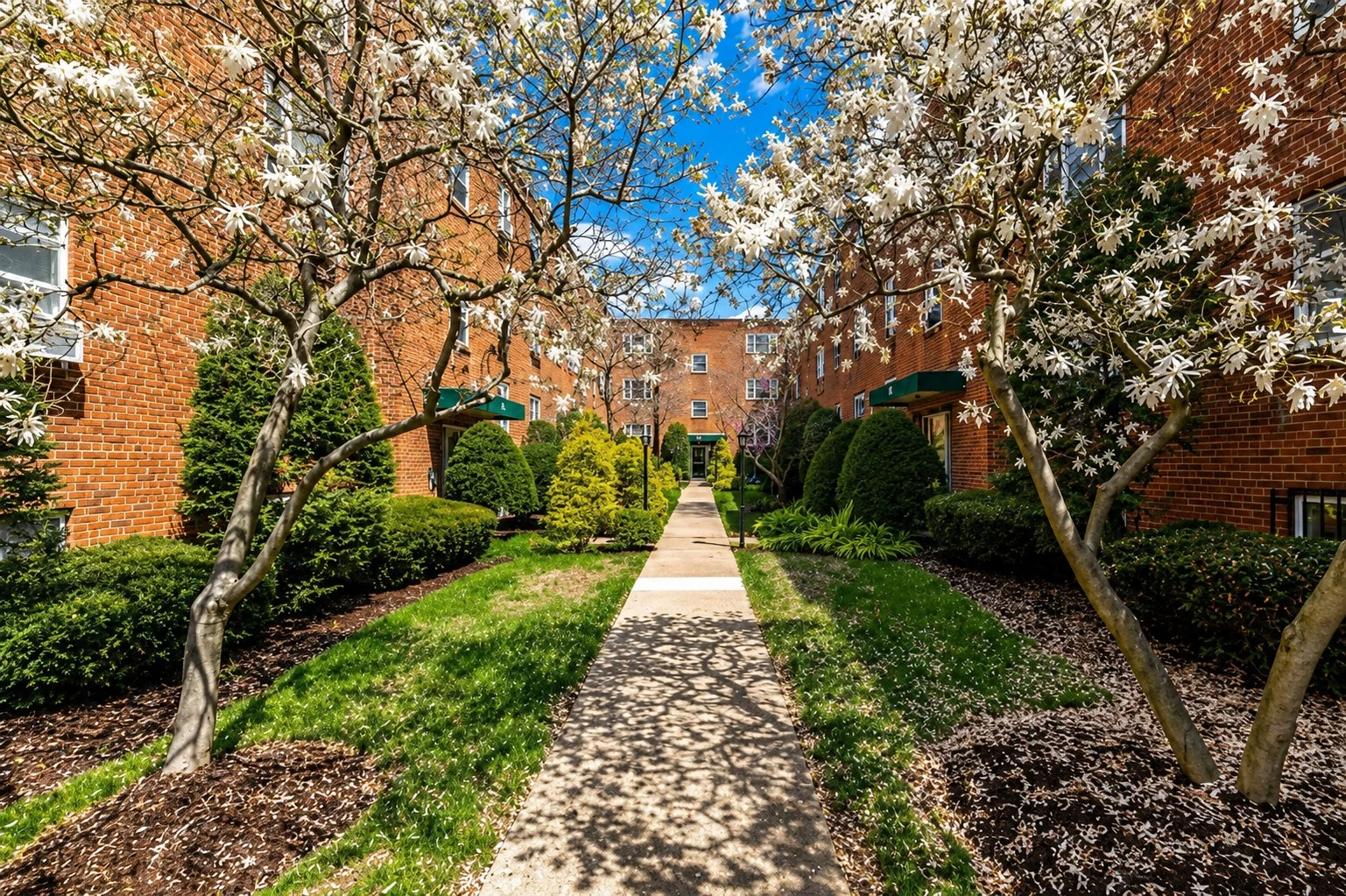 59 Colborne Rd, Brighton