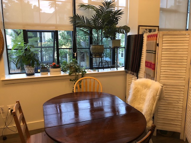 20 Sunnyside St, Jamaica Plain