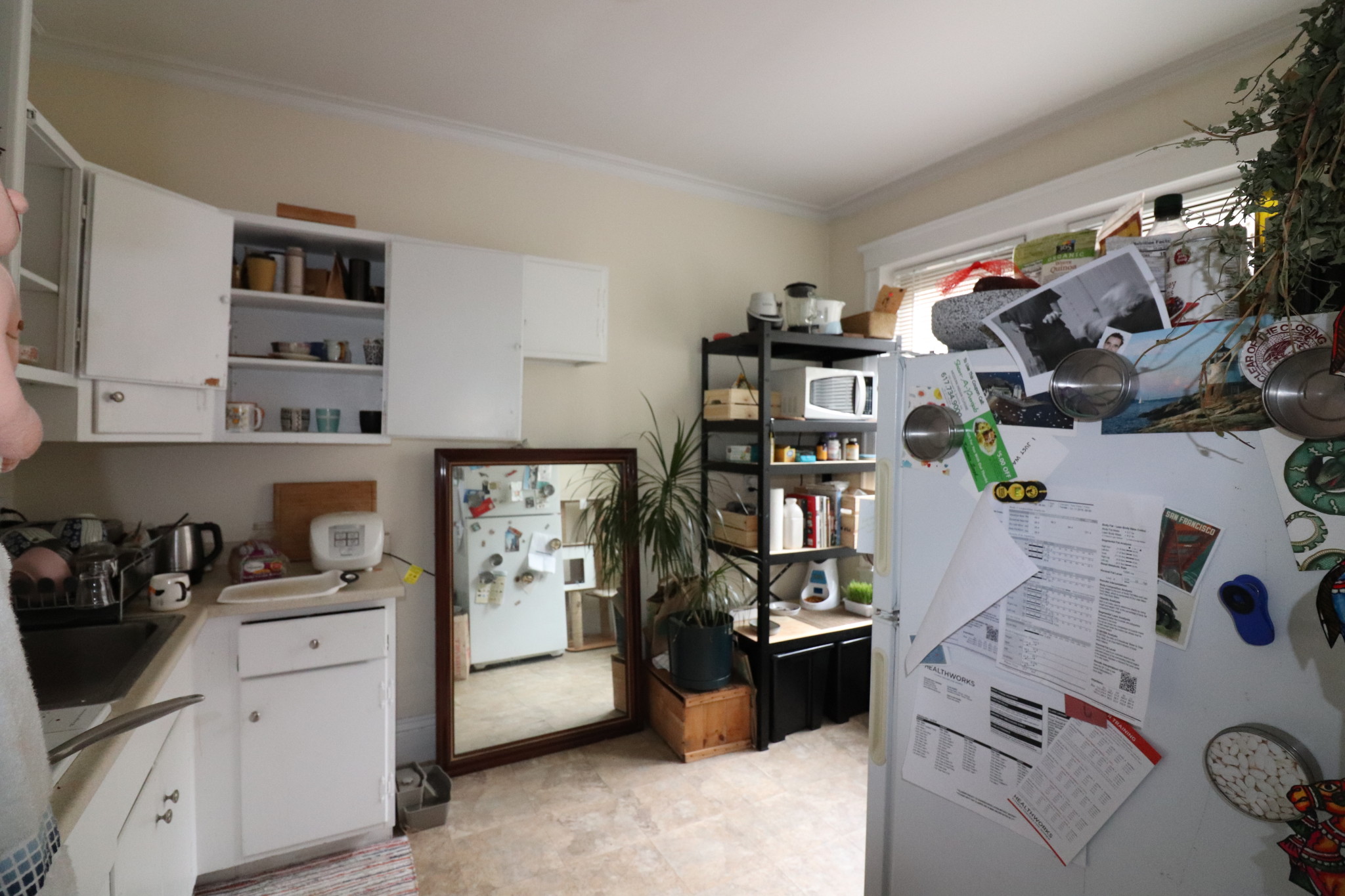 126 Babcock St, North Brookline