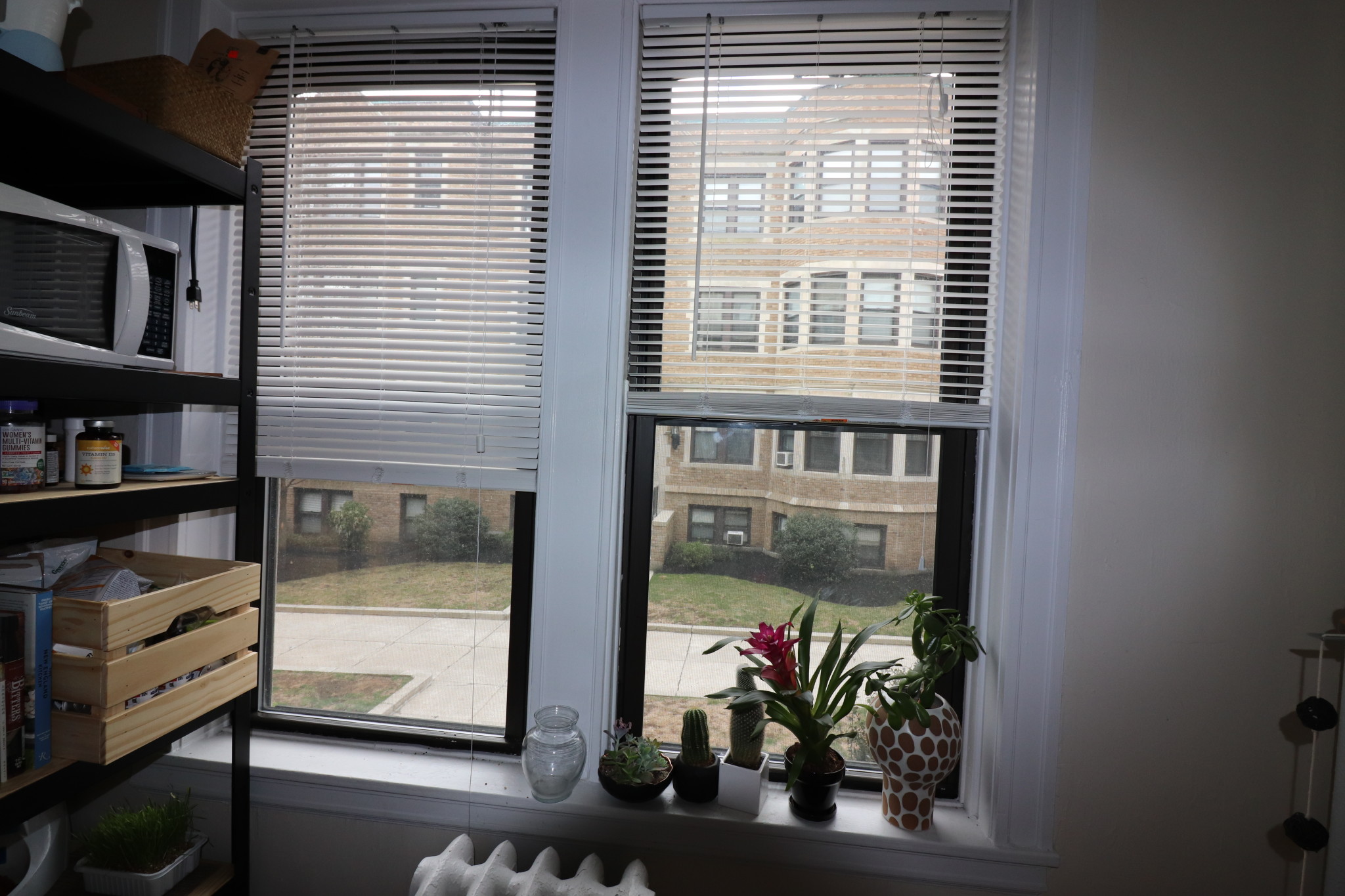 126 Babcock St, North Brookline