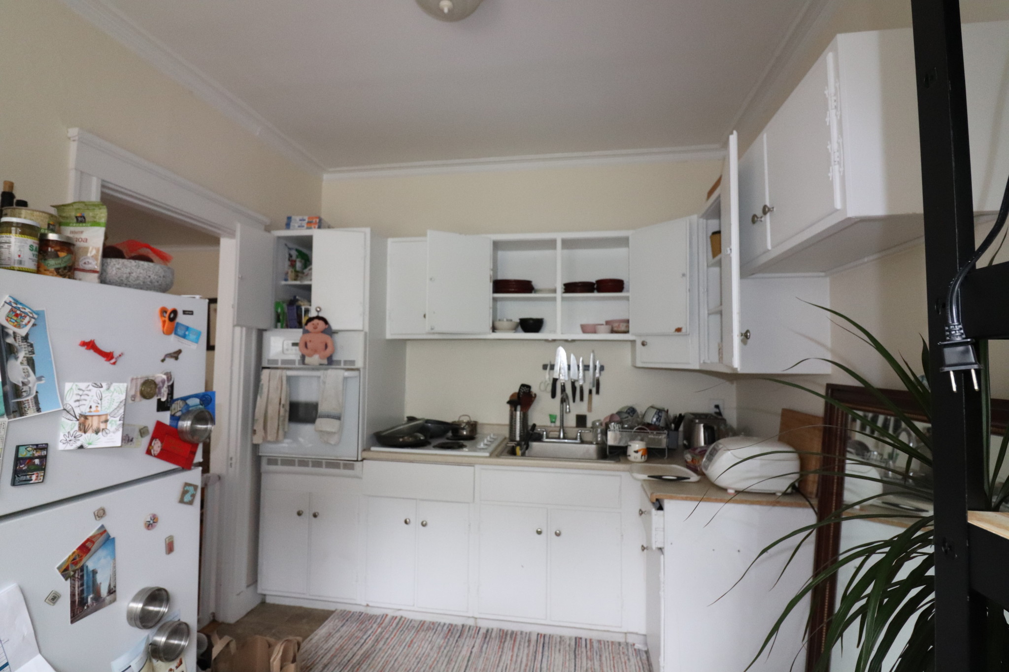 126 Babcock St, North Brookline