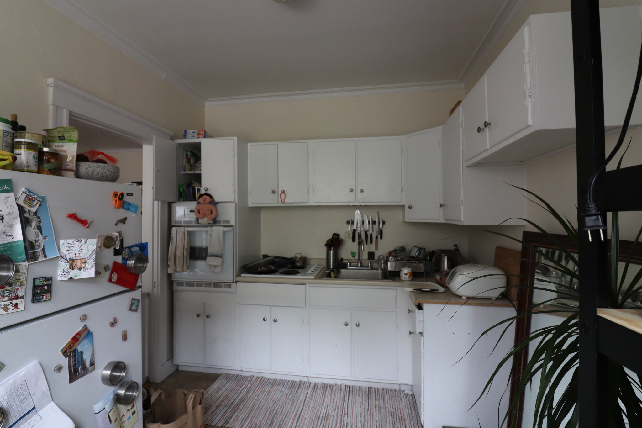 126 Babcock St, North Brookline