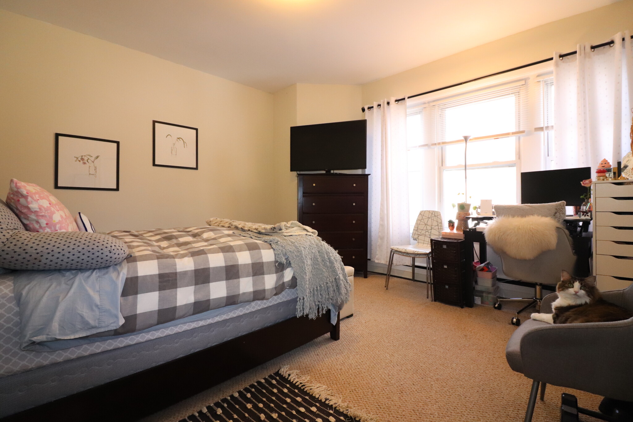 202 Saint Paul St, North Brookline