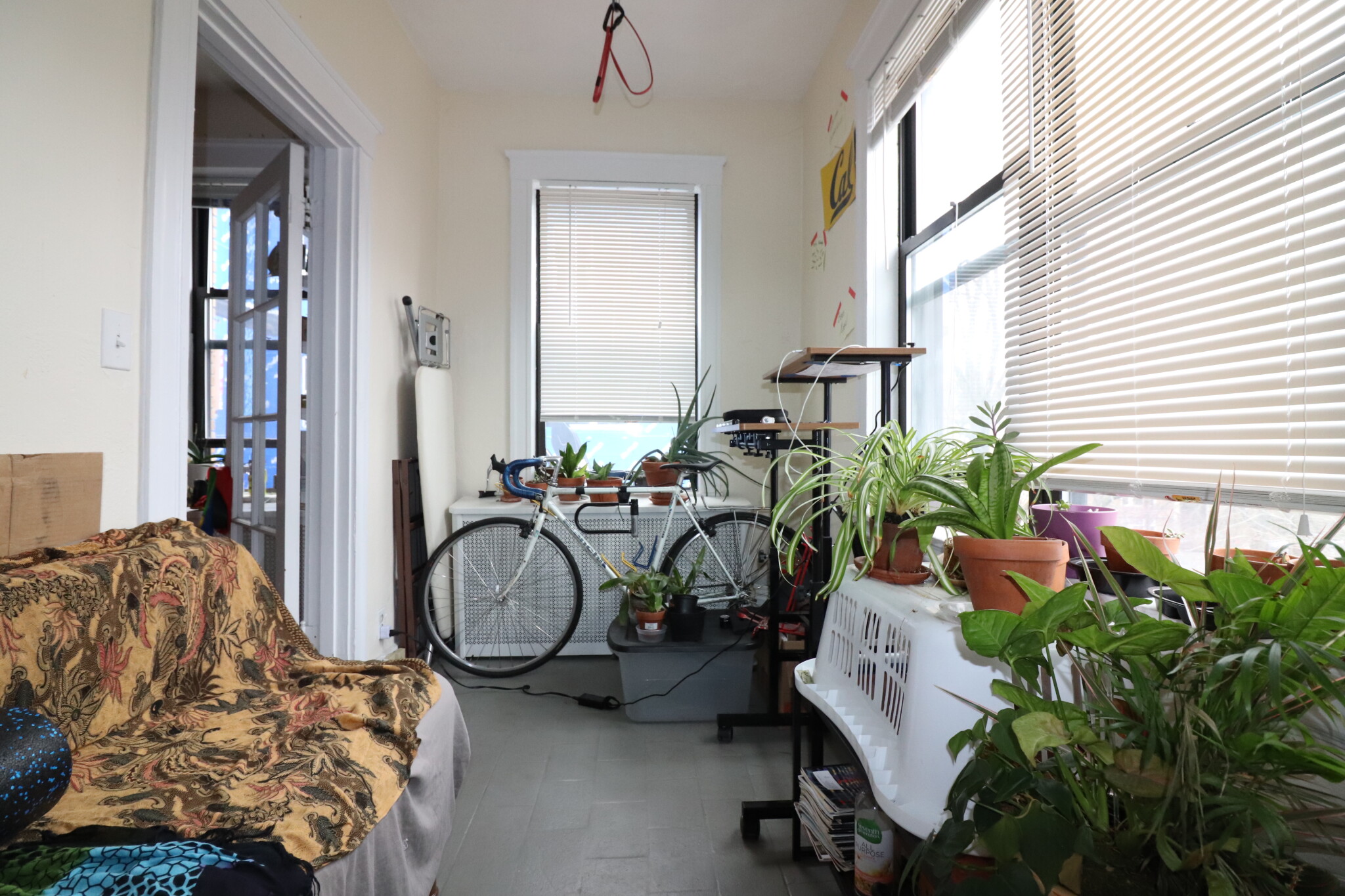 126 Babcock St, North Brookline