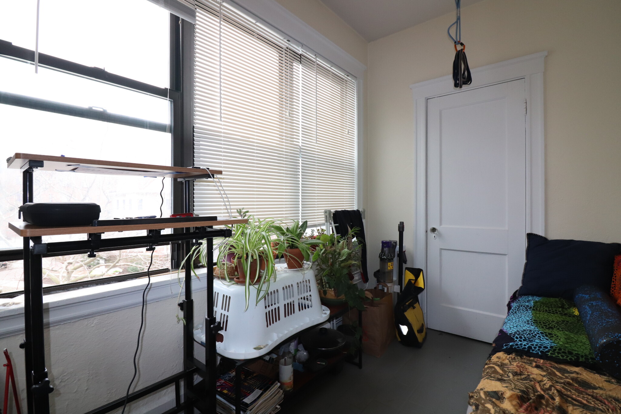 126 Babcock St, North Brookline