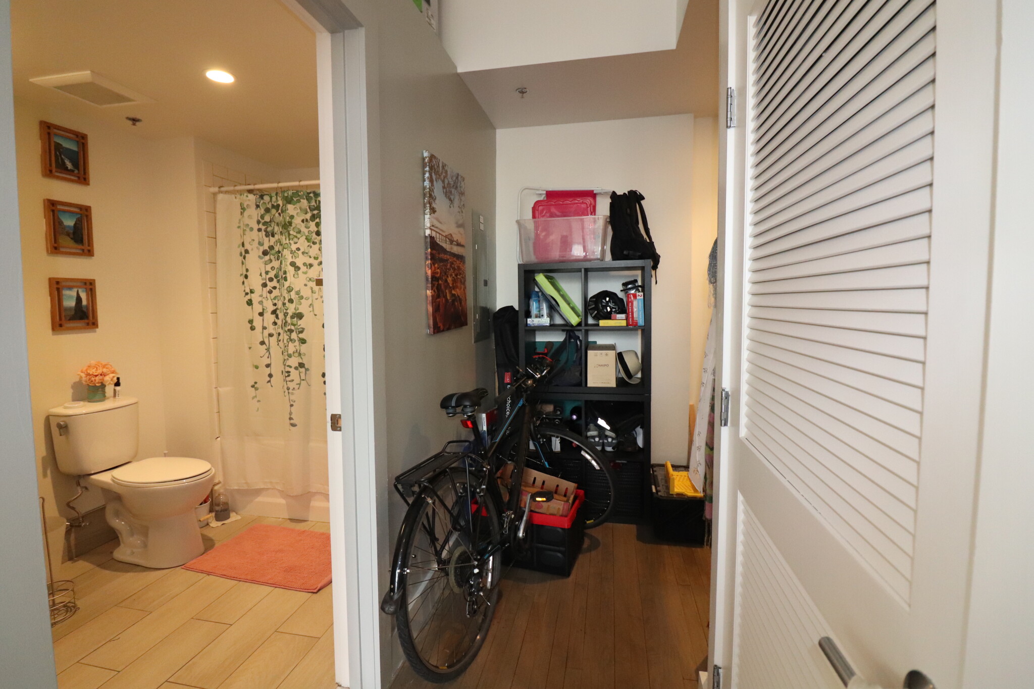 20 Sunnyside St, Jamaica Plain