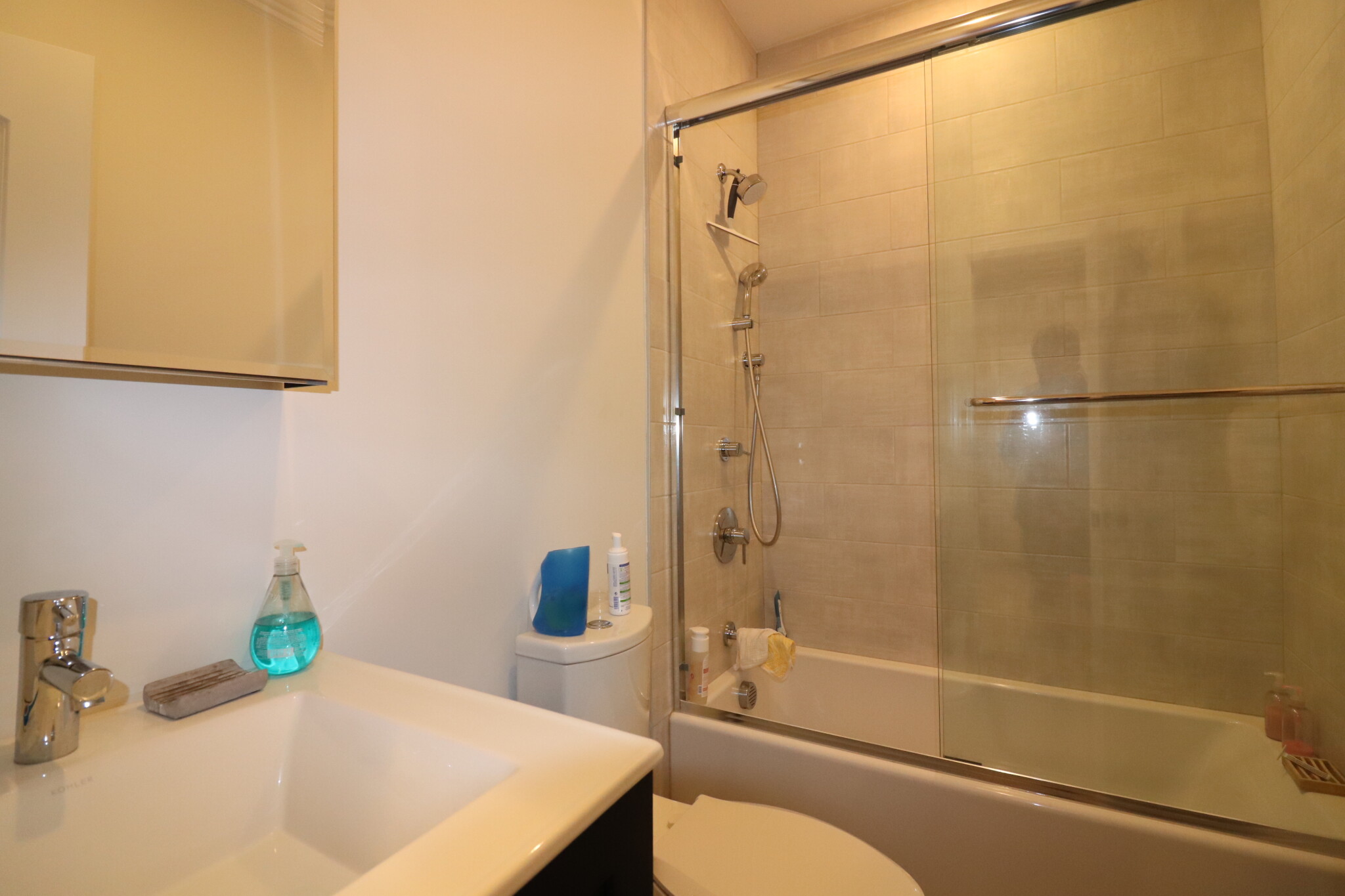 17 Walk Hill St, Jamaica Plain