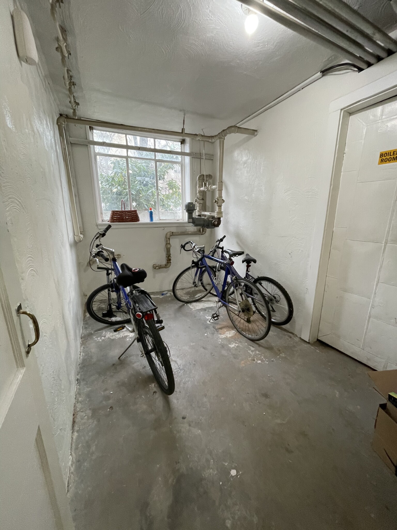 1527 Beacon St, Griggs Park