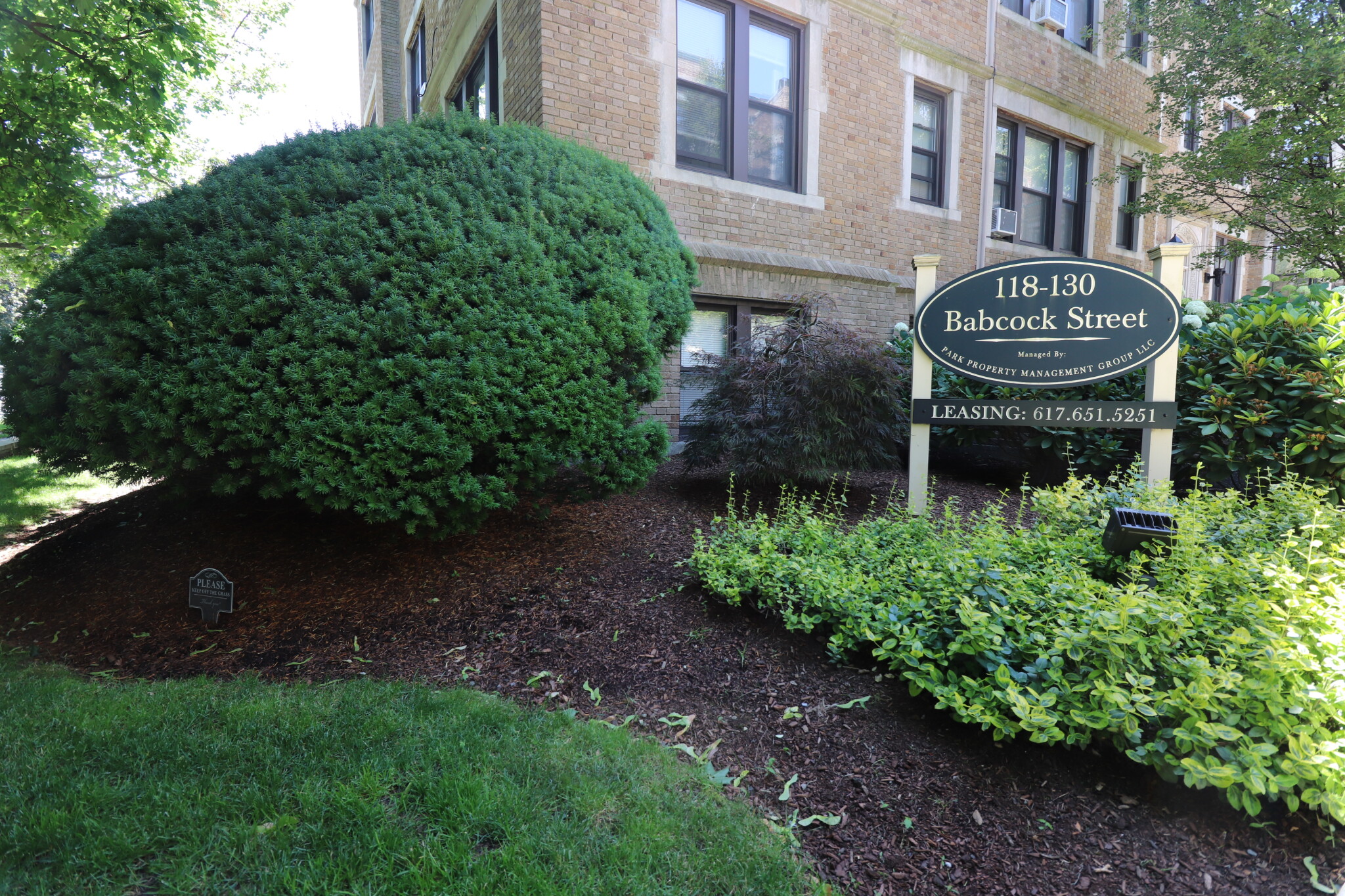 126 Babcock St, North Brookline