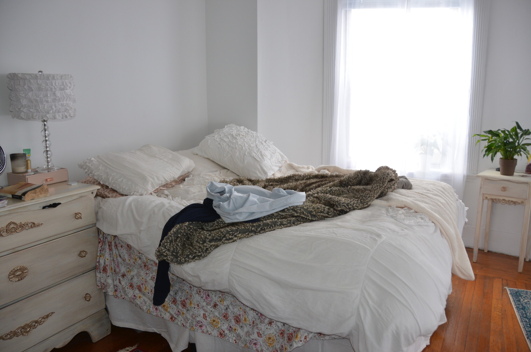 238 Hemenway St, Fenway