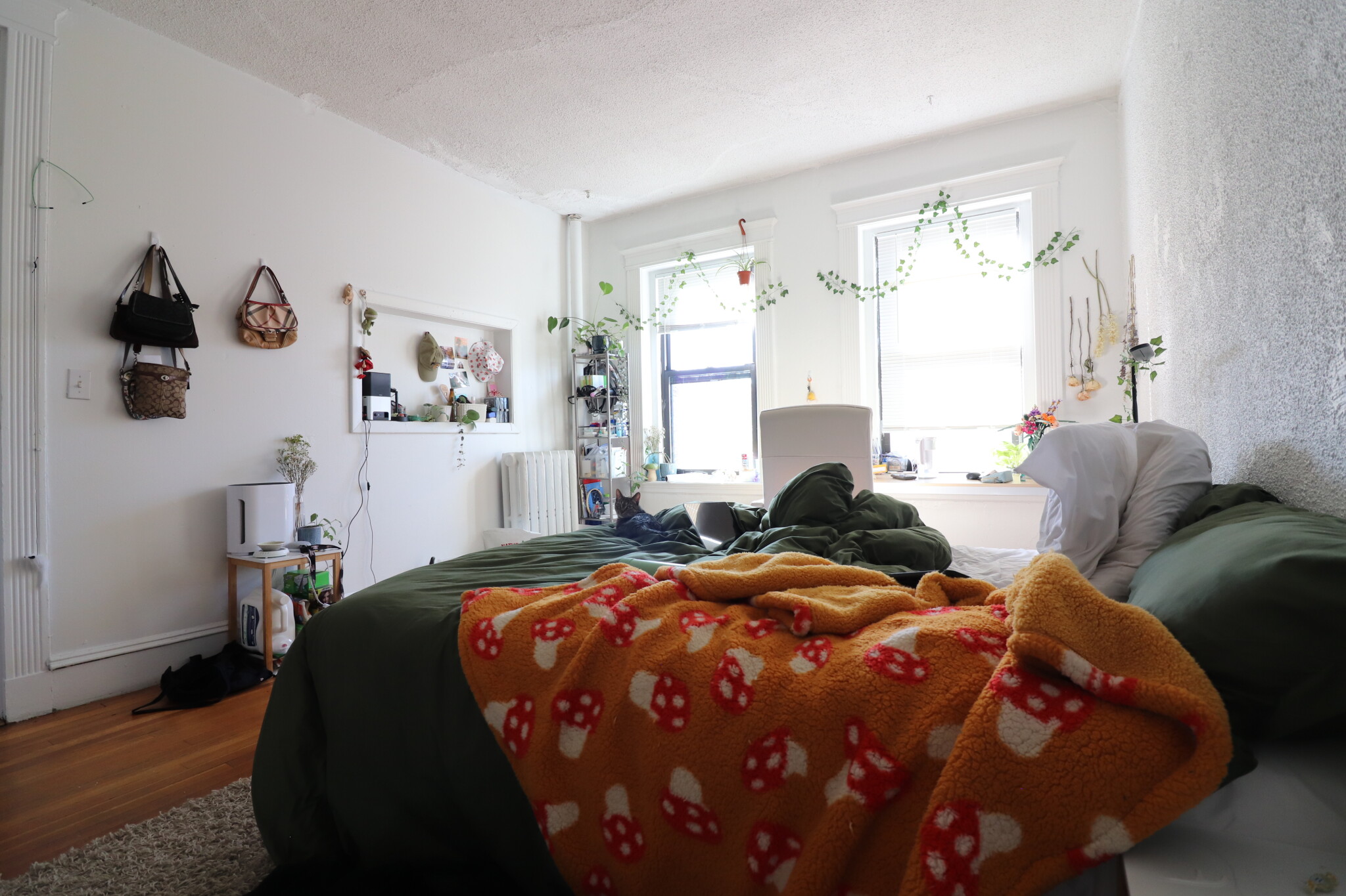 409 Huntington Ave, Fenway