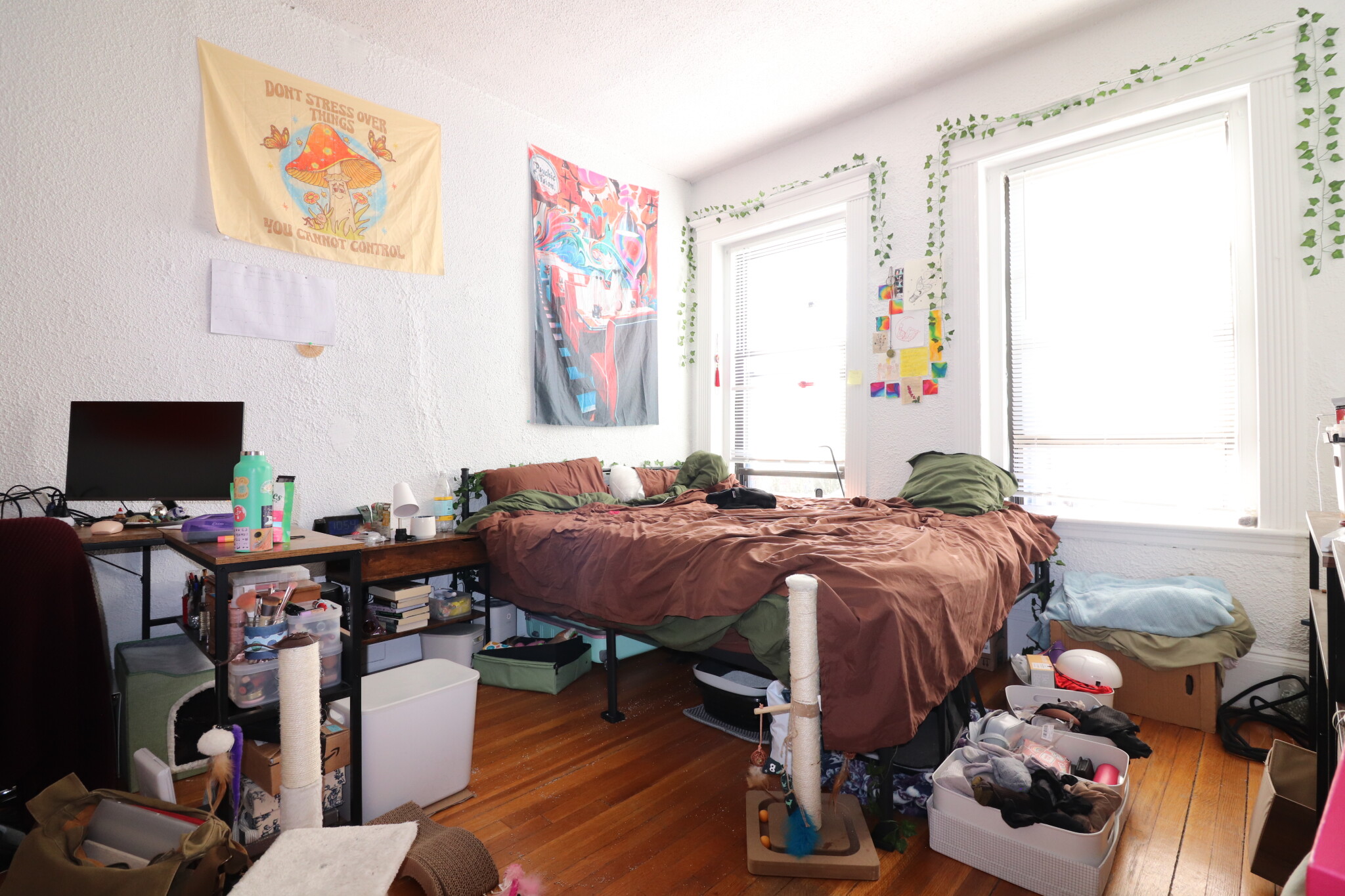 409 Huntington Ave, Fenway