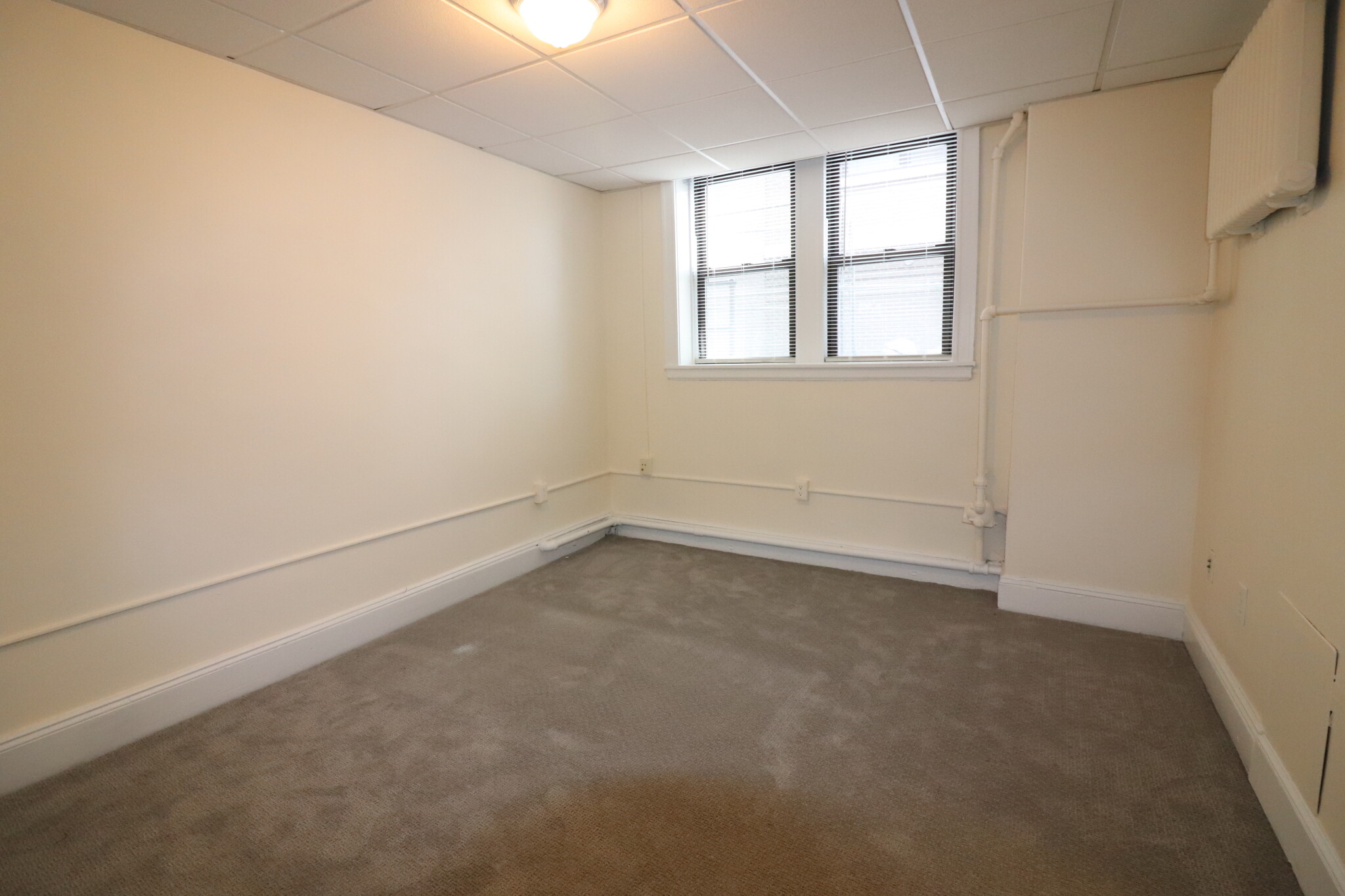 126 Babcock St, North Brookline