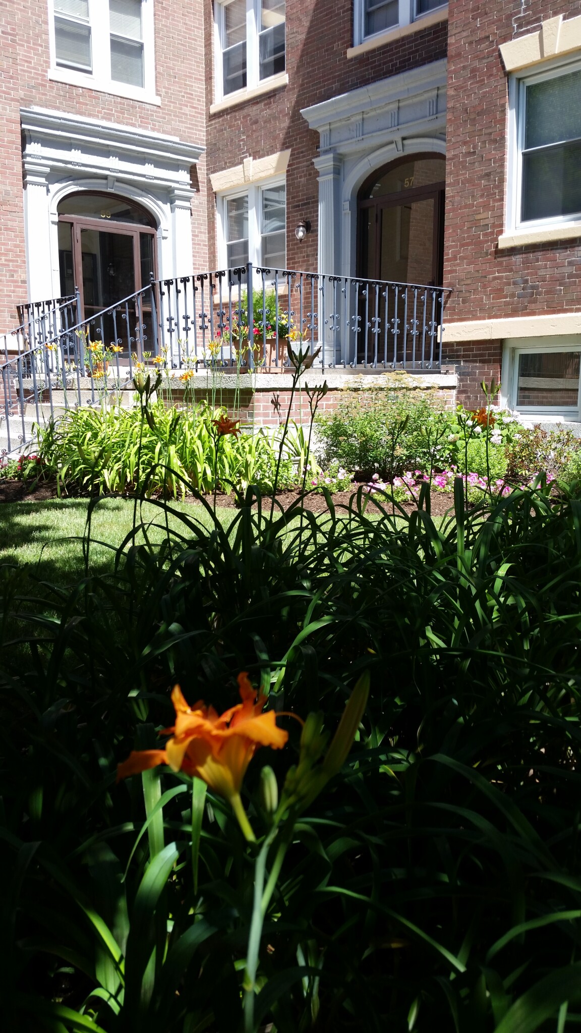 53 Manchester Rd, North Brookline