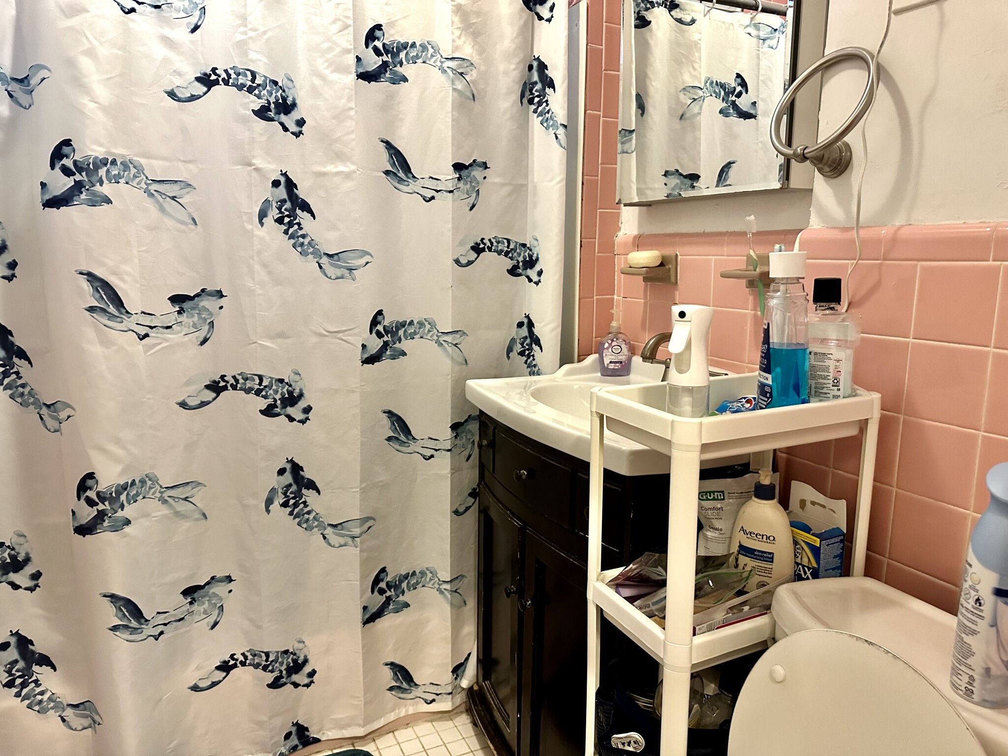 223 Summer St, Spring Hill