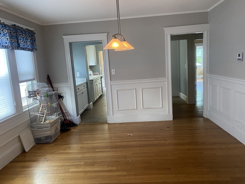 519 Belmont St, Belmont