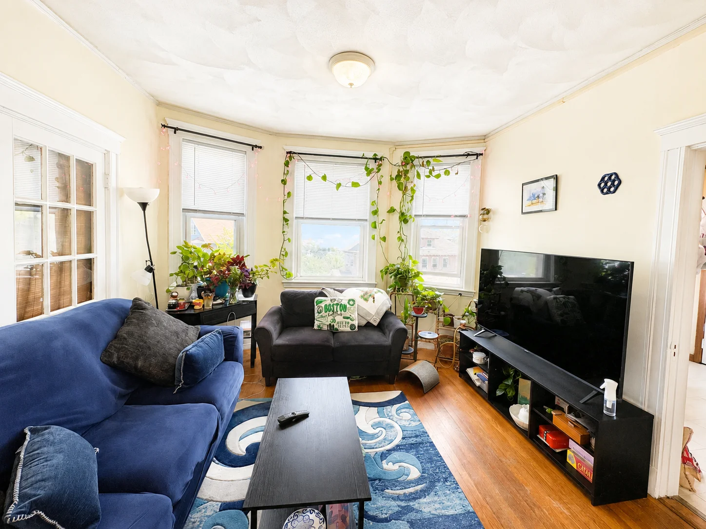 75 Nottinghill Rd, Brighton