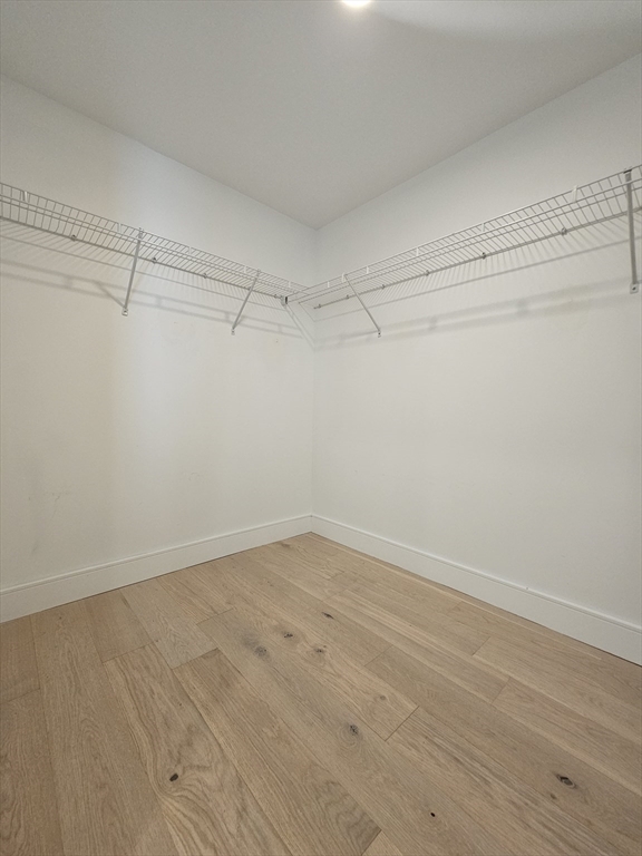 50 Leo M Birmingham Pkwa, Brighton