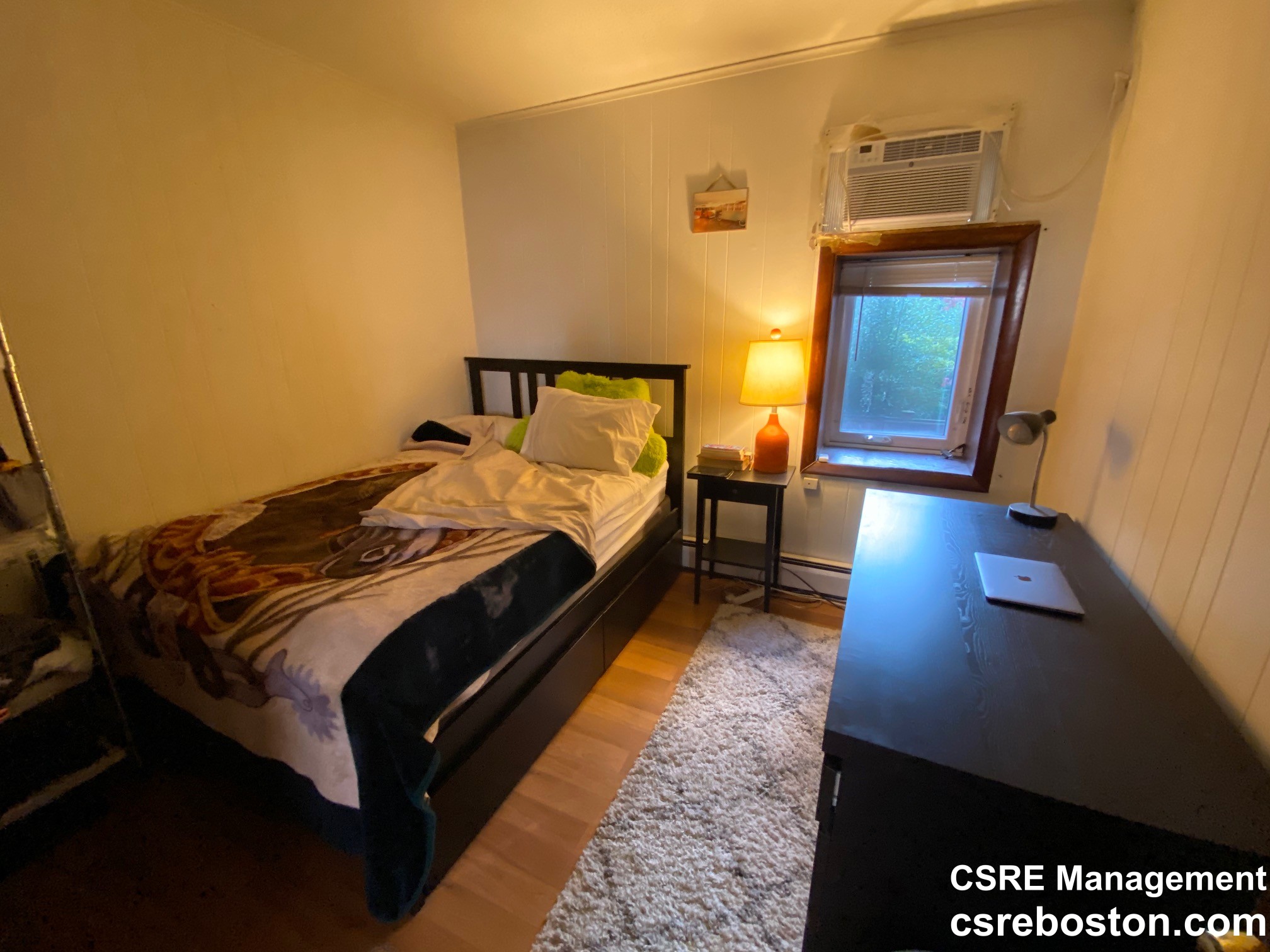 307 Shawmut Ave, South End