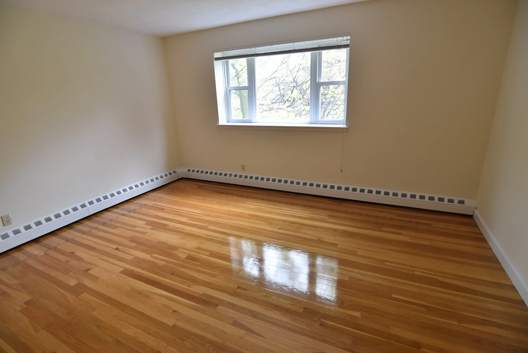 59 Parkman St, Coolidge Corner