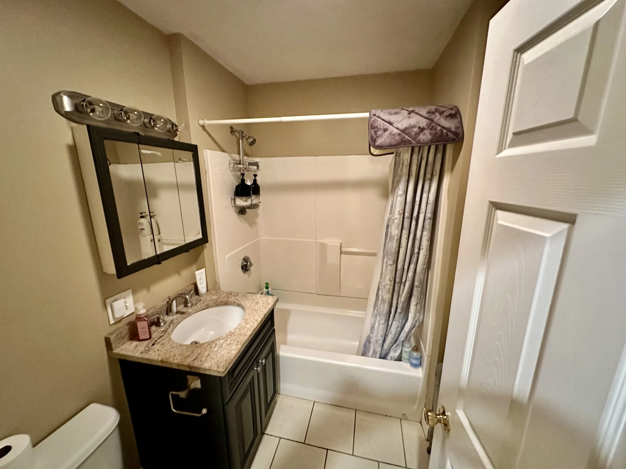 56 Egmont St, North Brookline