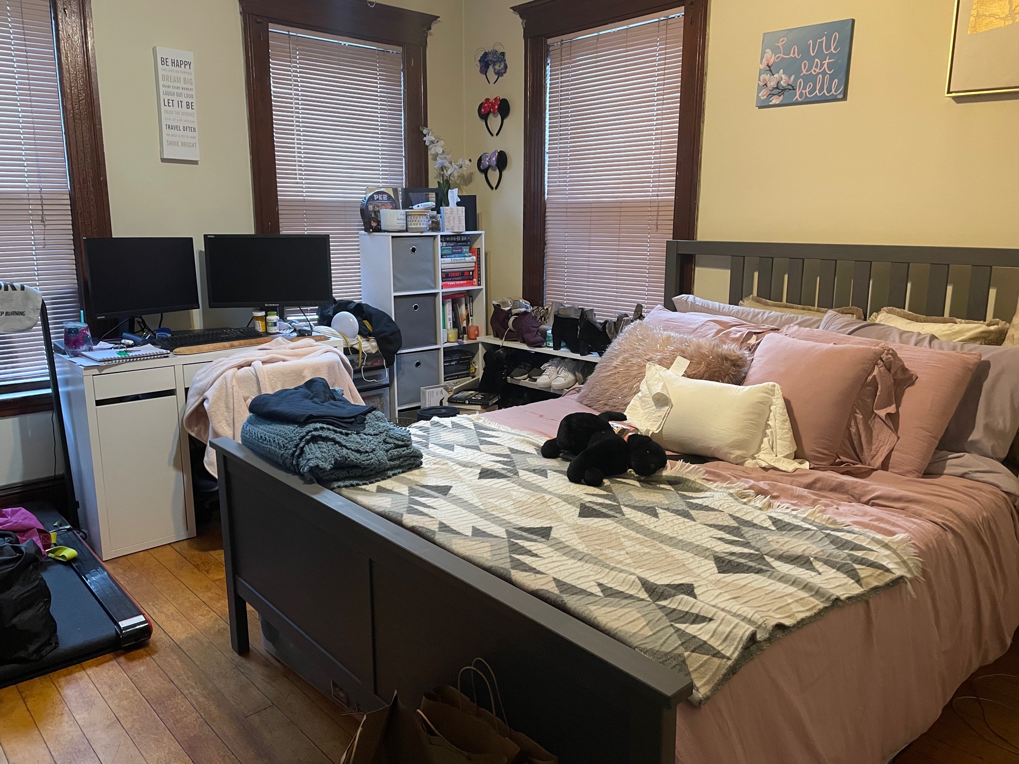 325 Faneuil, Brighton