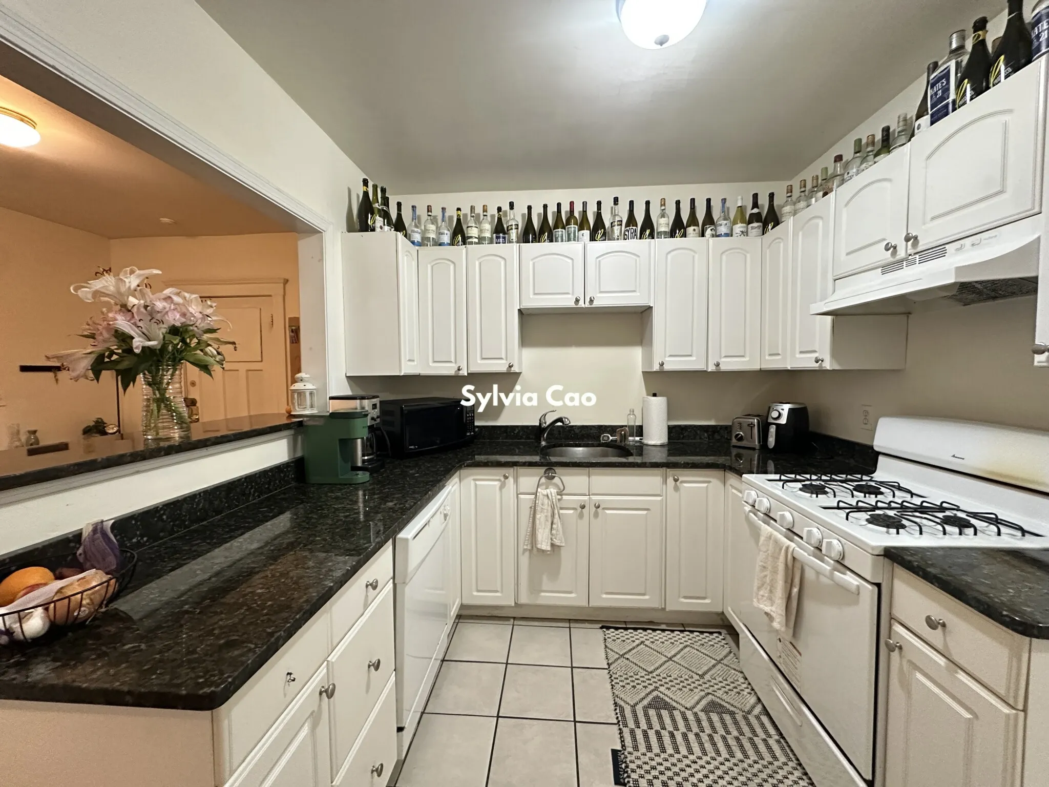 54 Egmont St, North Brookline