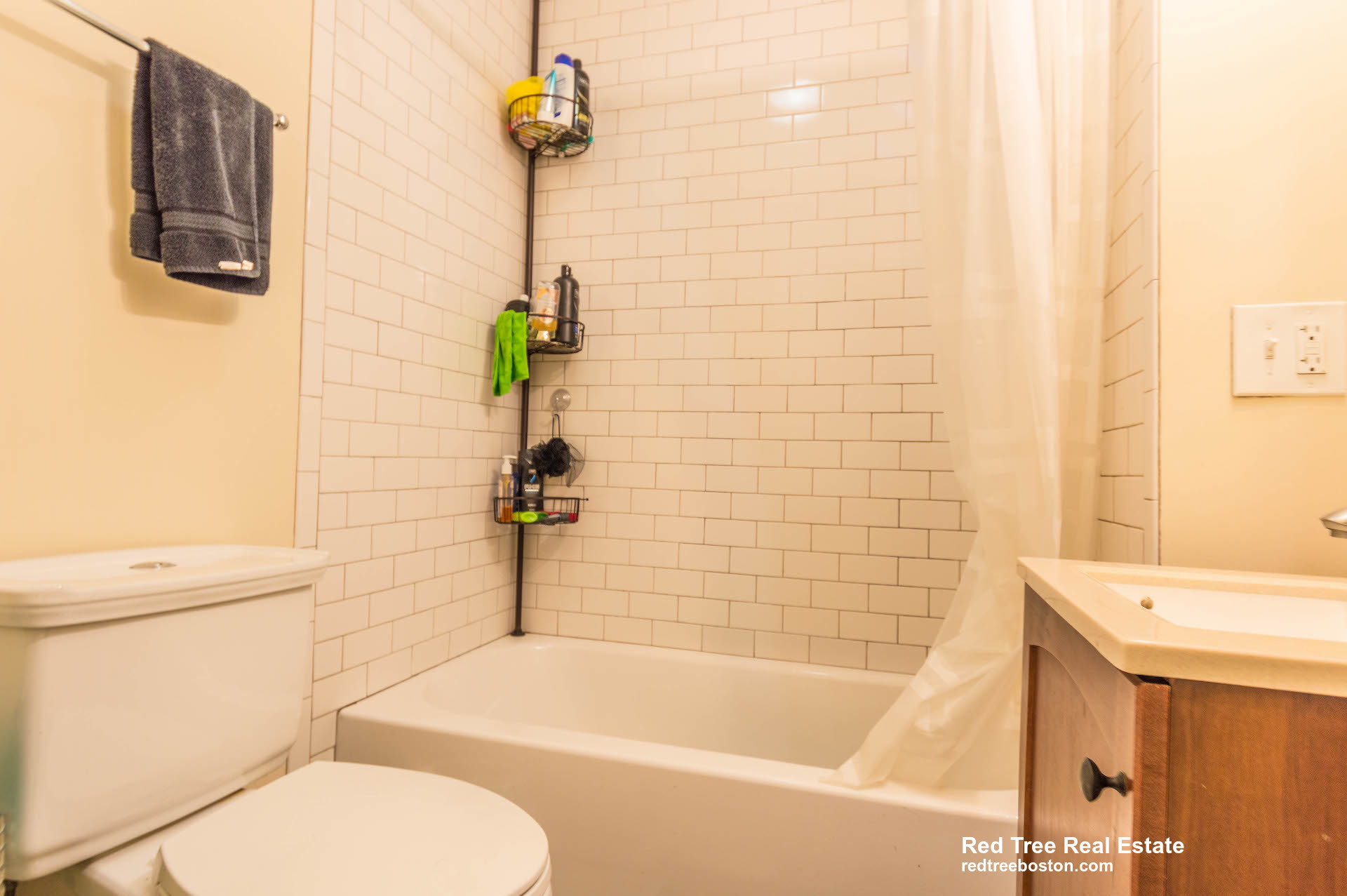 18 Cobden St, Roxbury