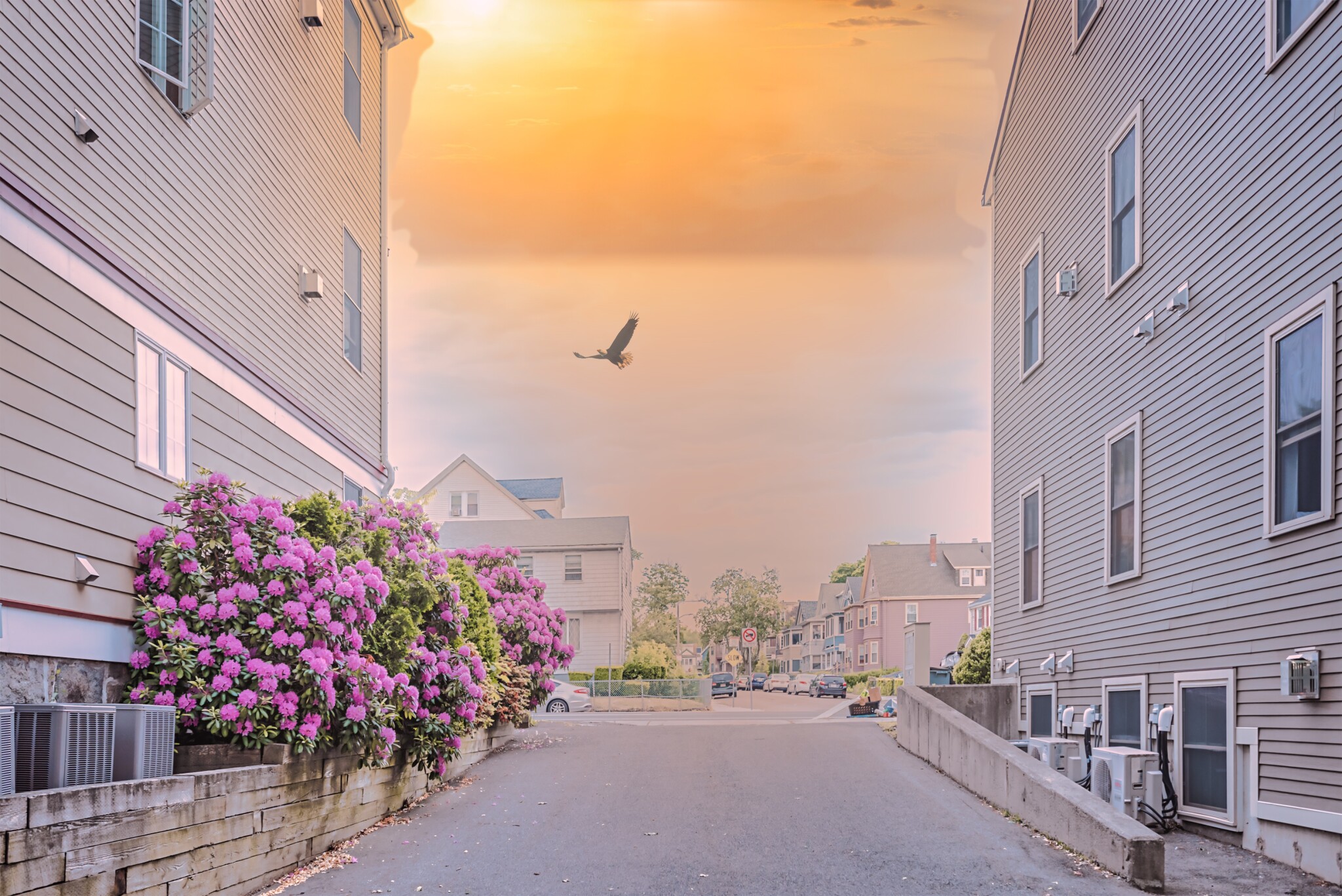 341 Gallivan Boulevard, Cedar Grove