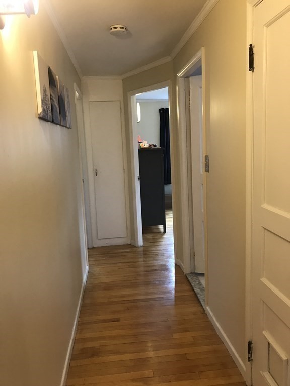 53 Elinor Rd, Newton Highlands