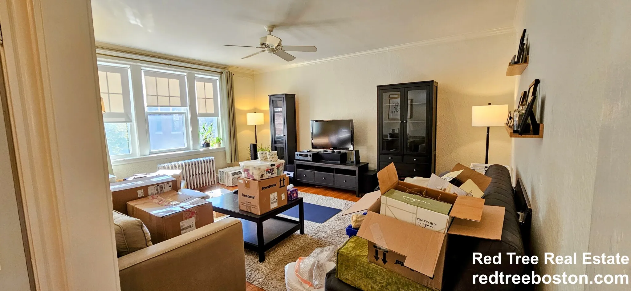 52 Babcock St, North Brookline