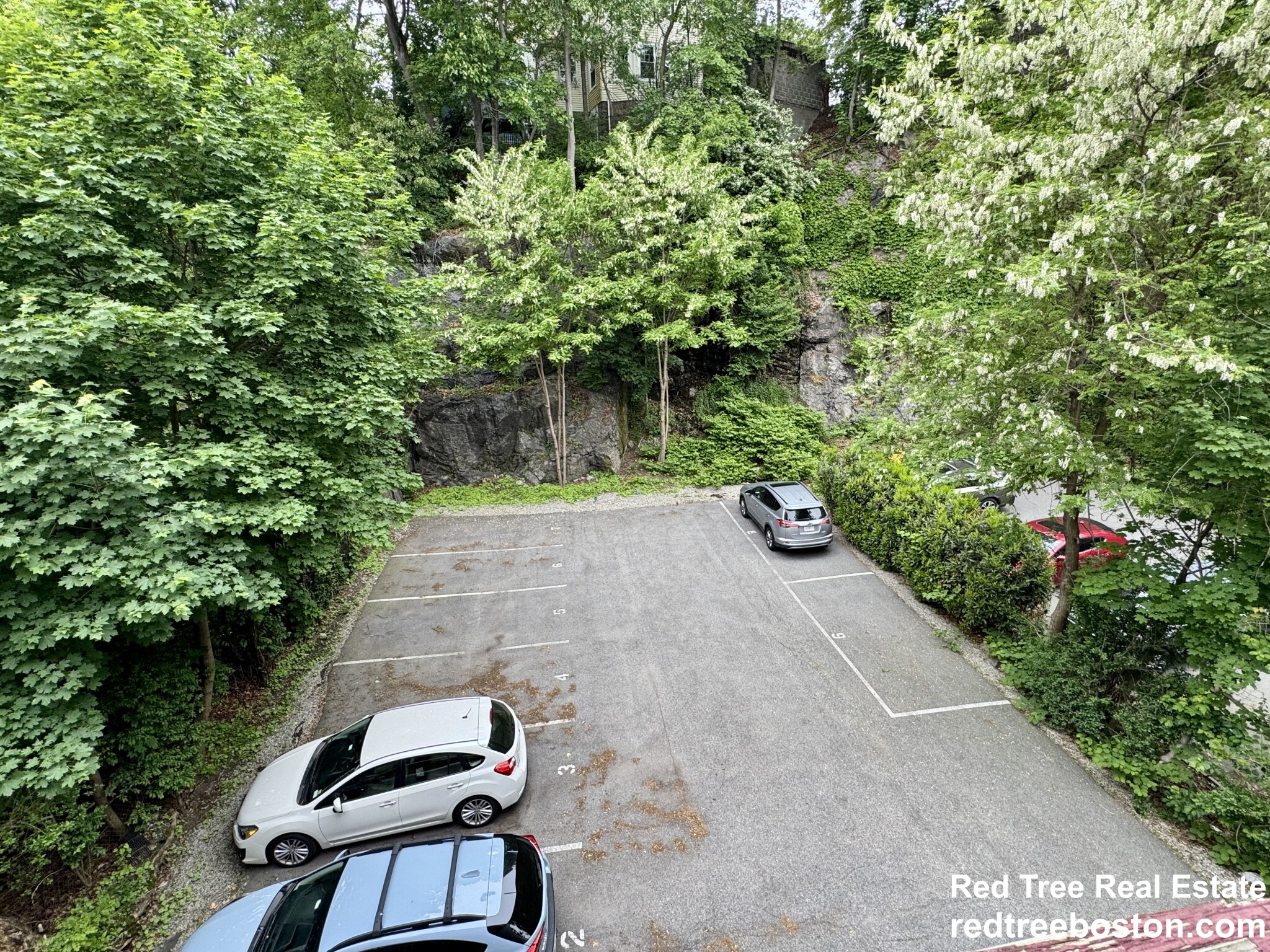 25 Saint Peter, Jamaica Plain