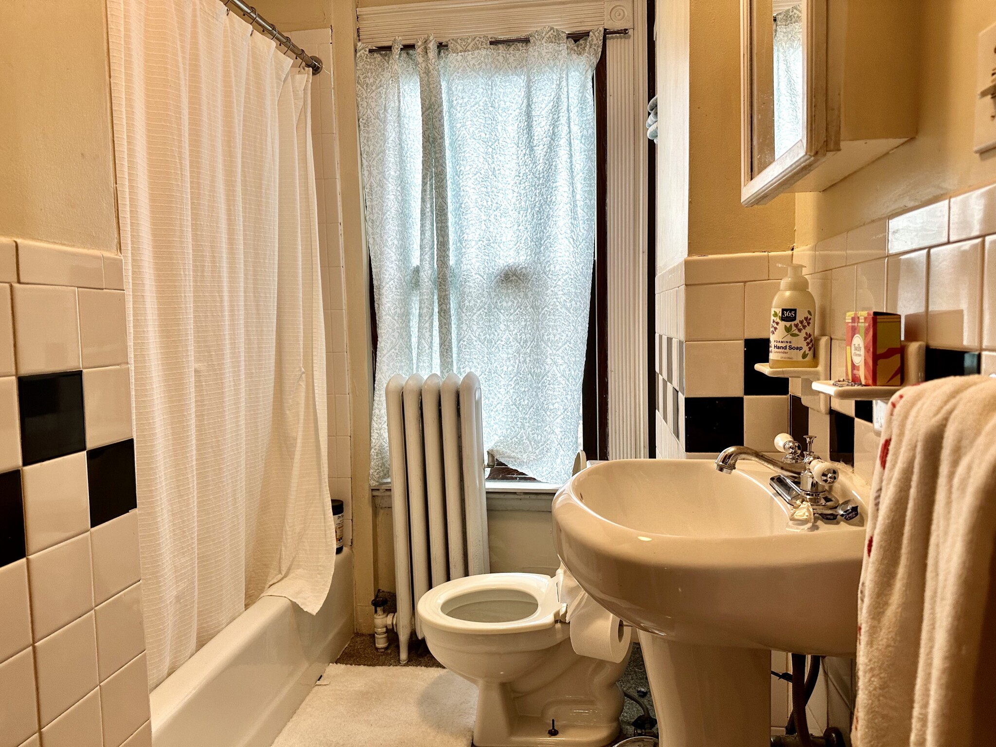 31 Myrtle St, Beacon Hill