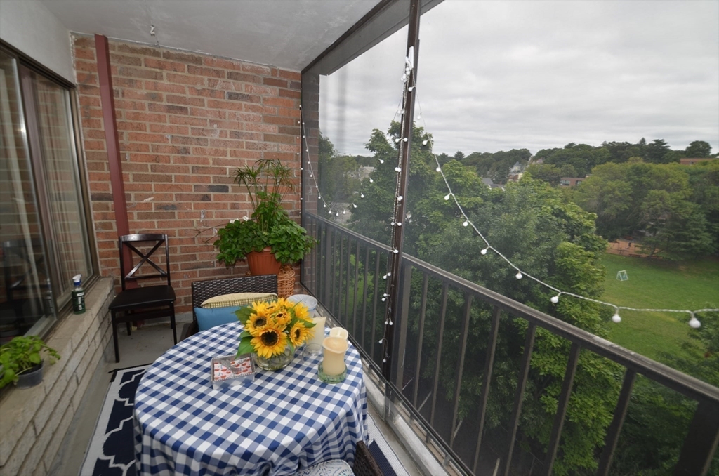 51 Melrose St, Melrose