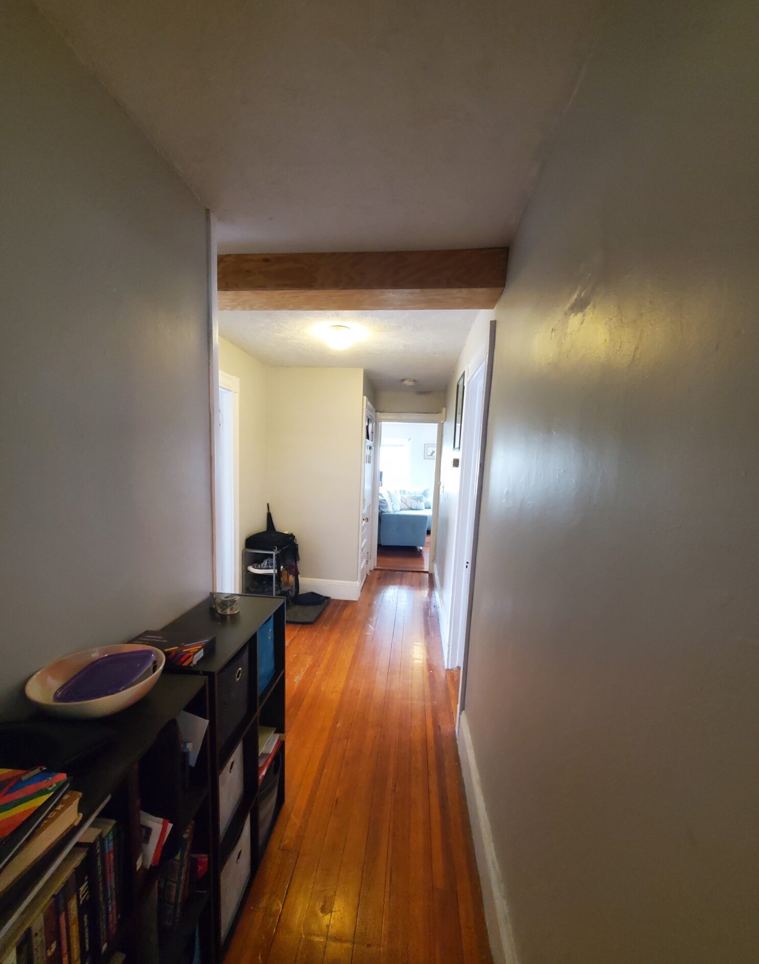 1 bed, 1 bath apartment for rent at 46 Paulina St Unit 3, Davis Square — photo 5 of 10
