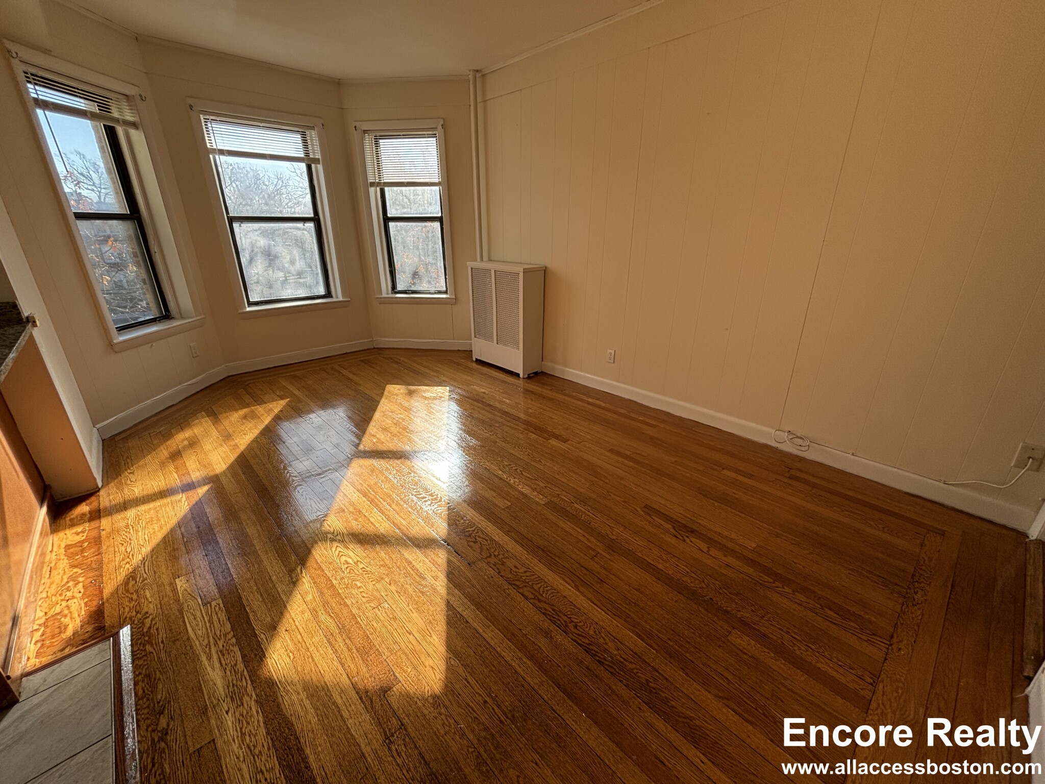 1133 Commonwealth Ave, Brighton