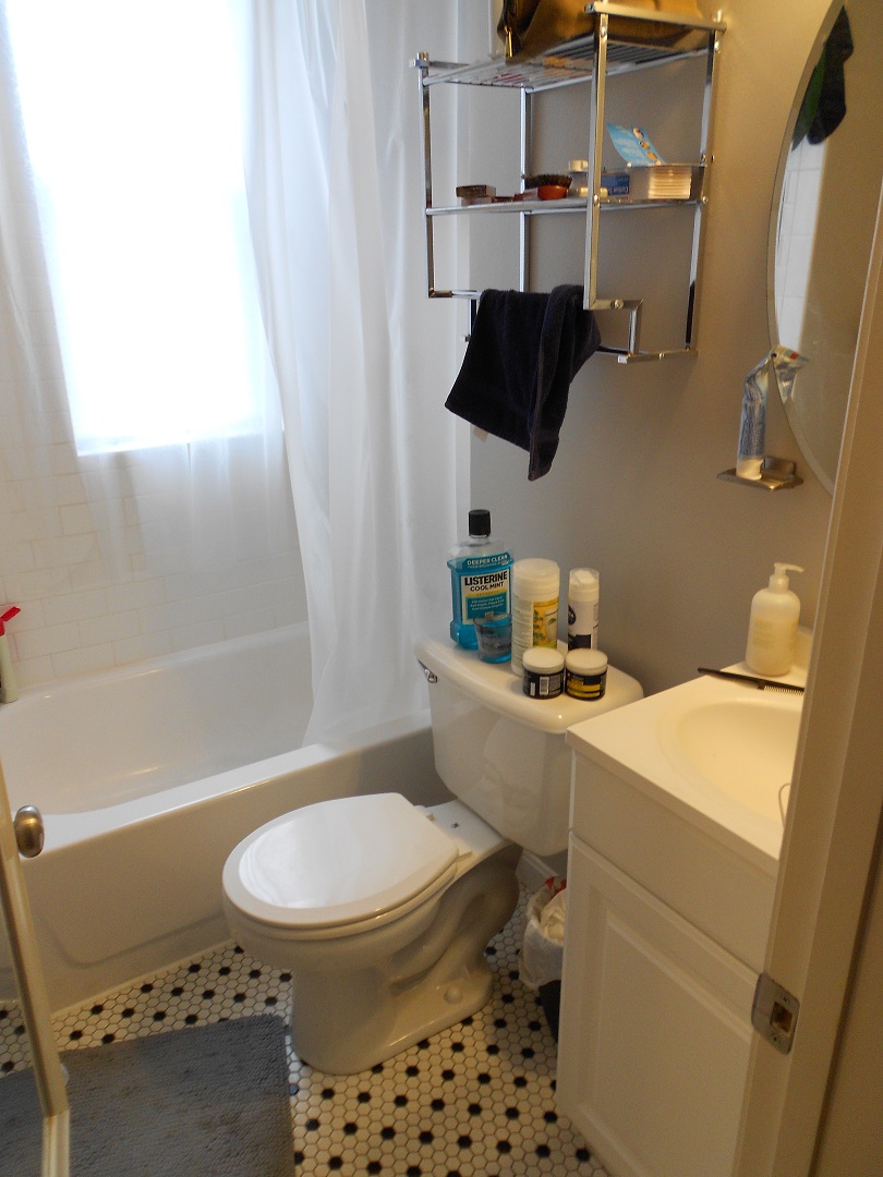 Studio bed, 1 bath apartment for rent at 52 Haviland St Unit 2, Fenway — photo 5 of 5