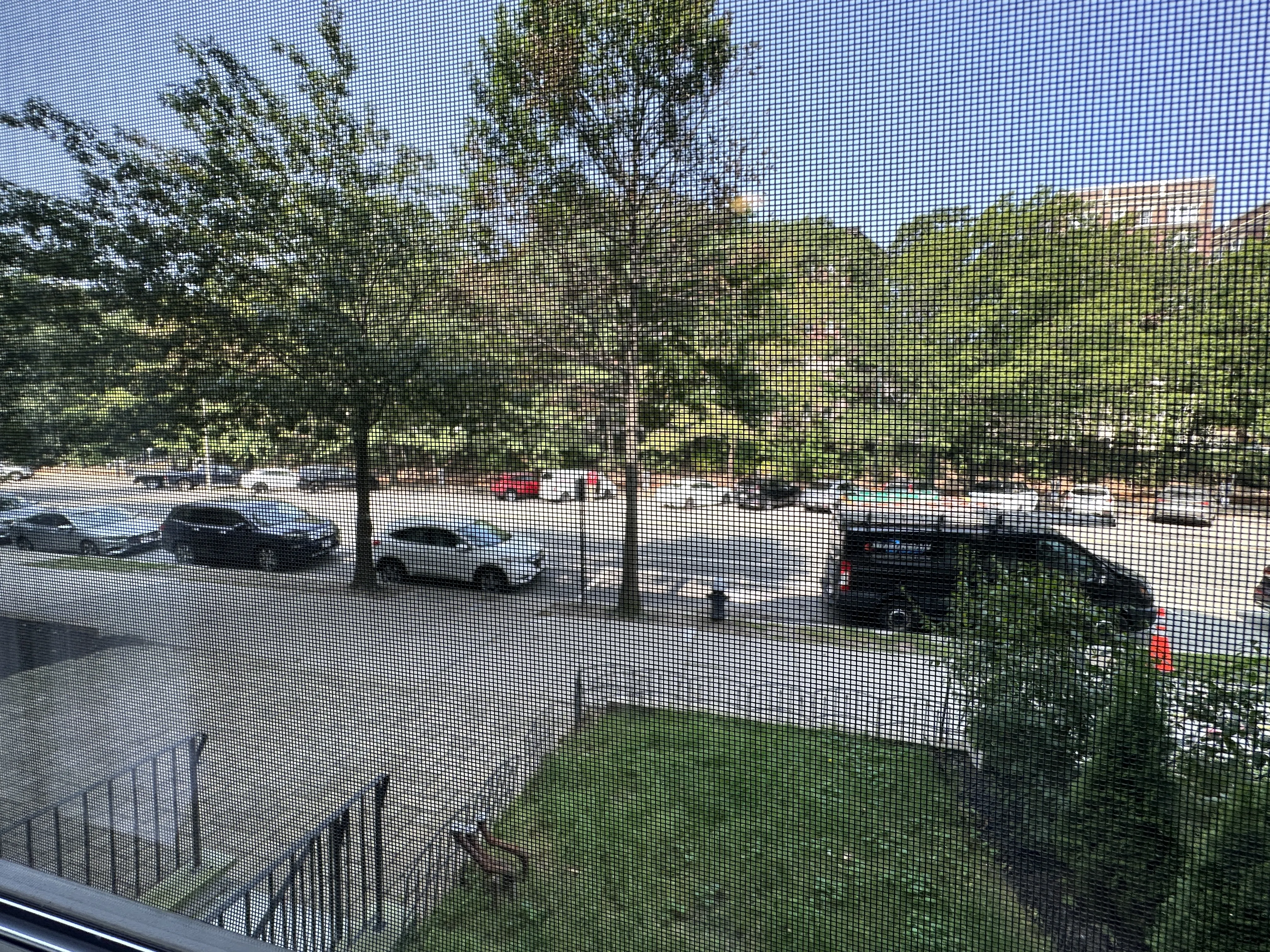 1463 Beacon St, Griggs Park