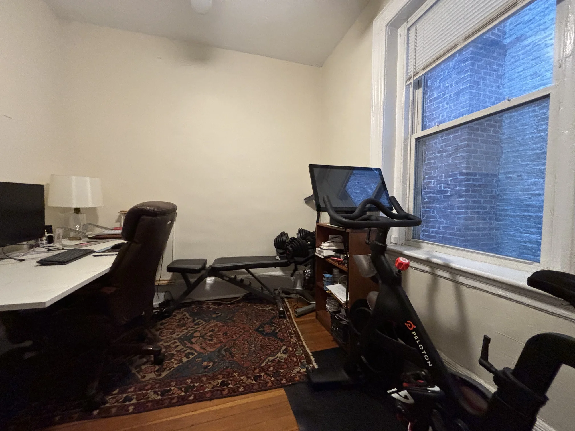99 Myrtle St, Beacon Hill