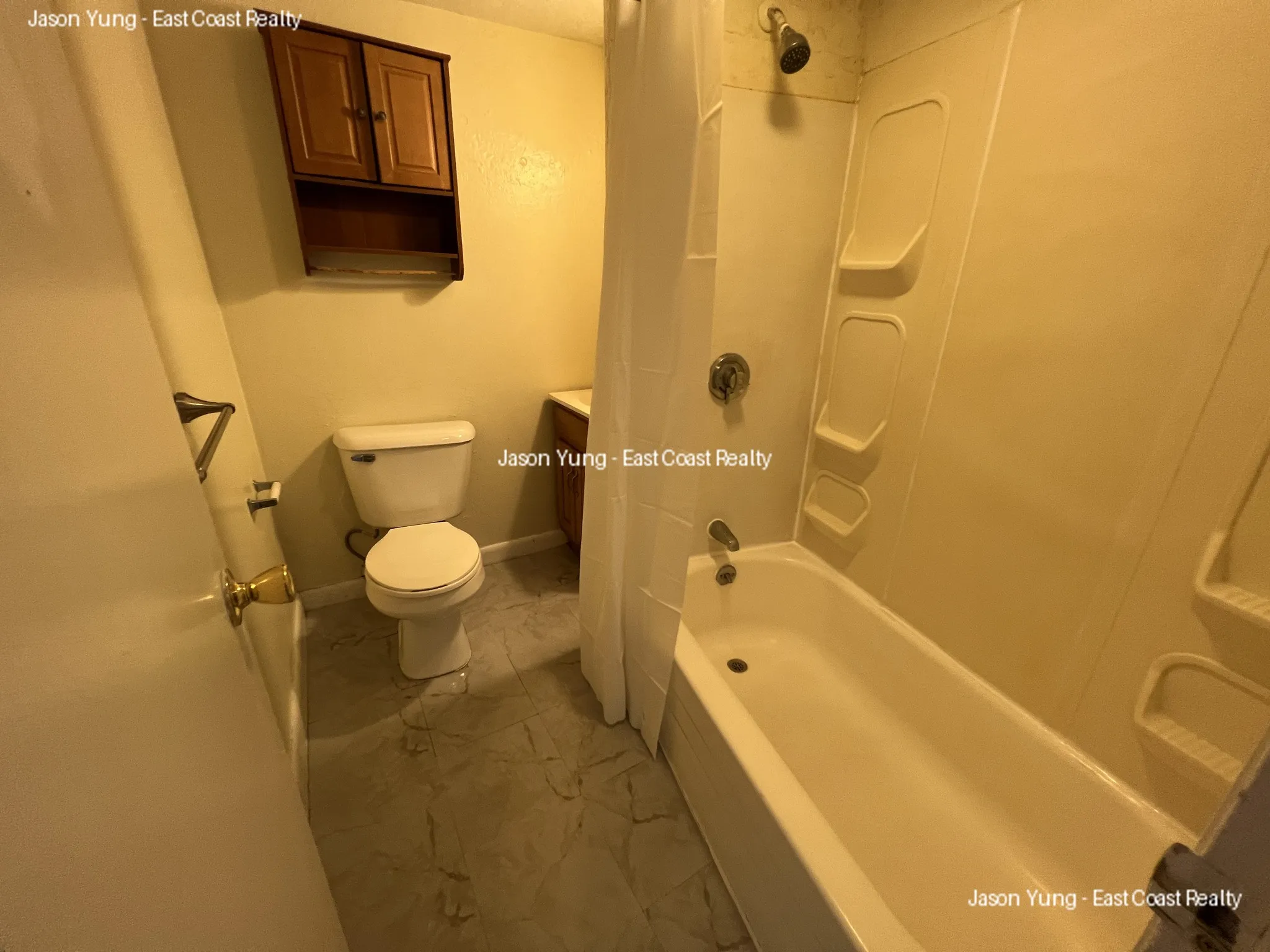 231 Harrison Ave, Chinatown