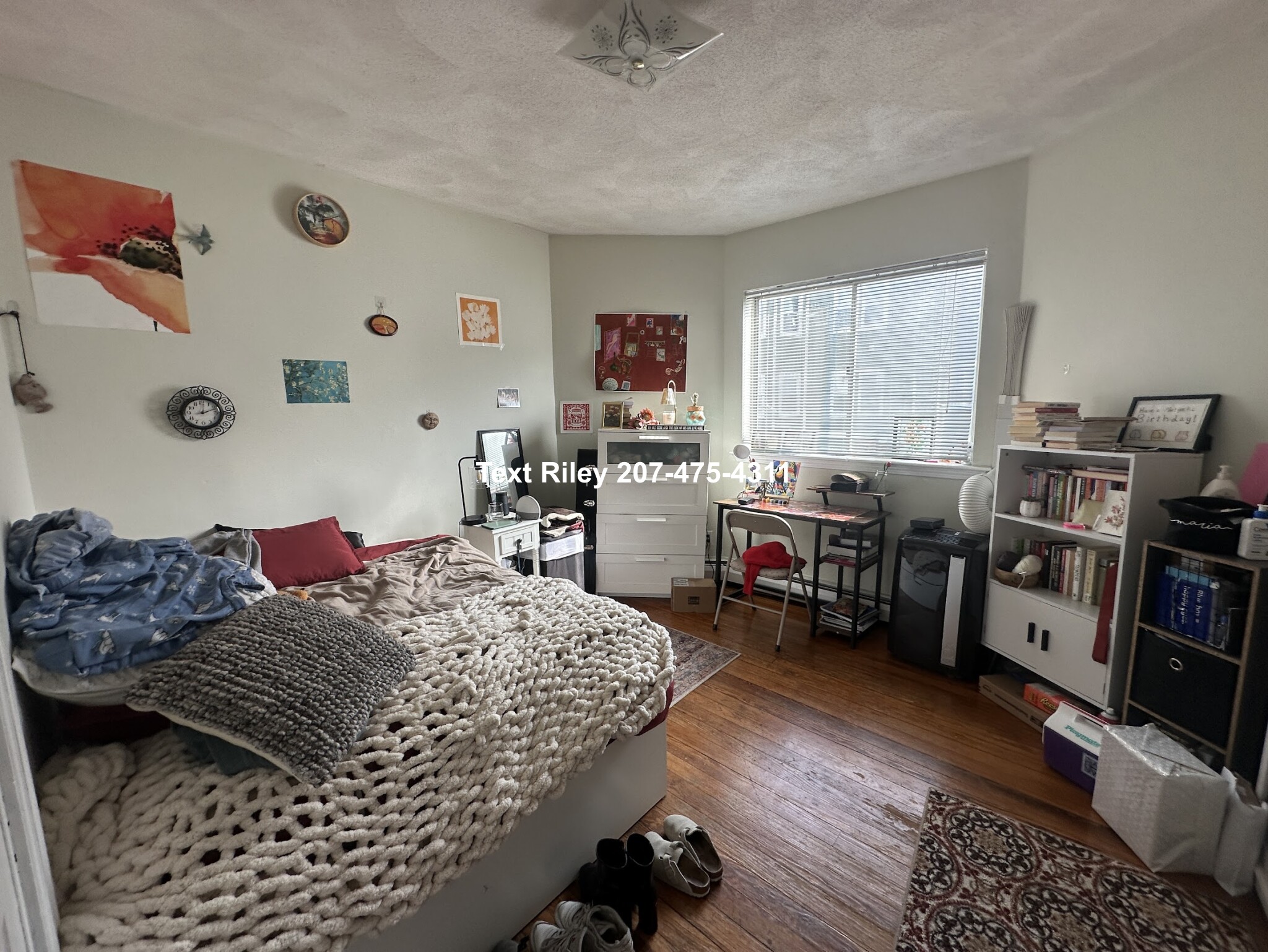 99 Marion St, Ward Two