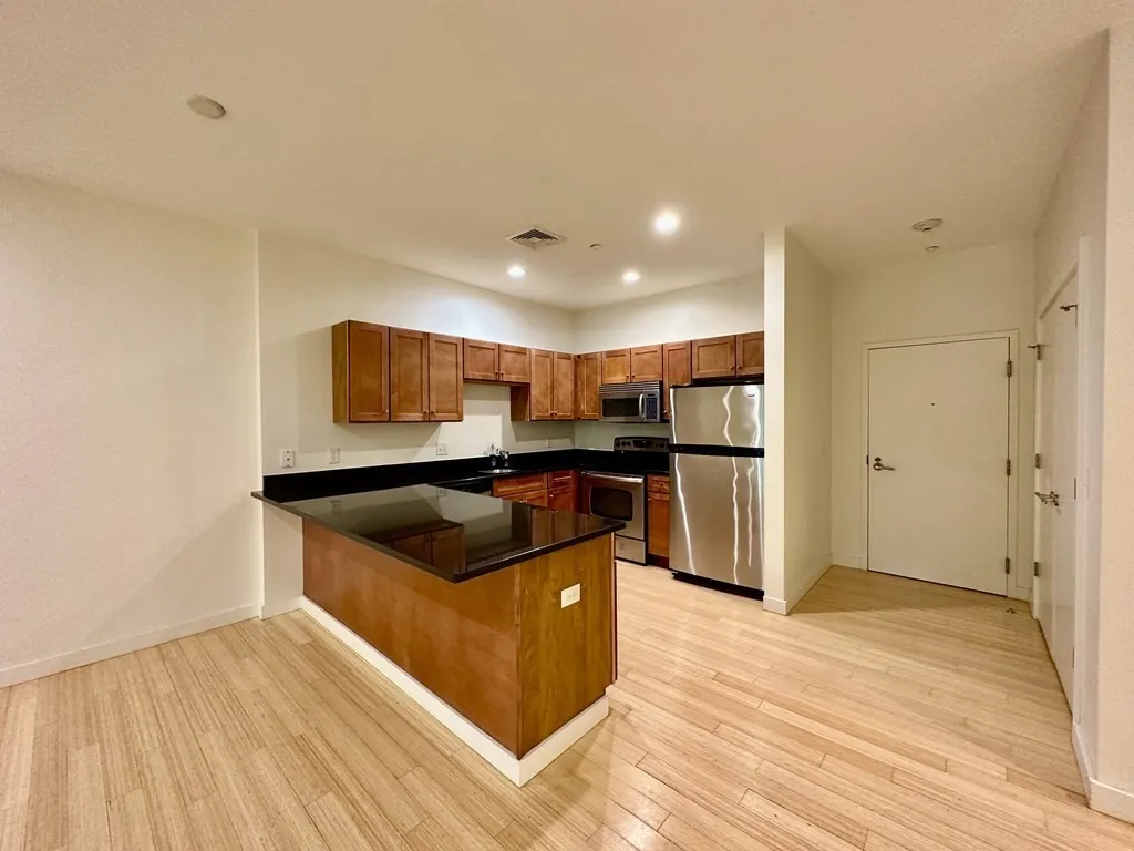 99 Chestnut Hill Ave, Brighton