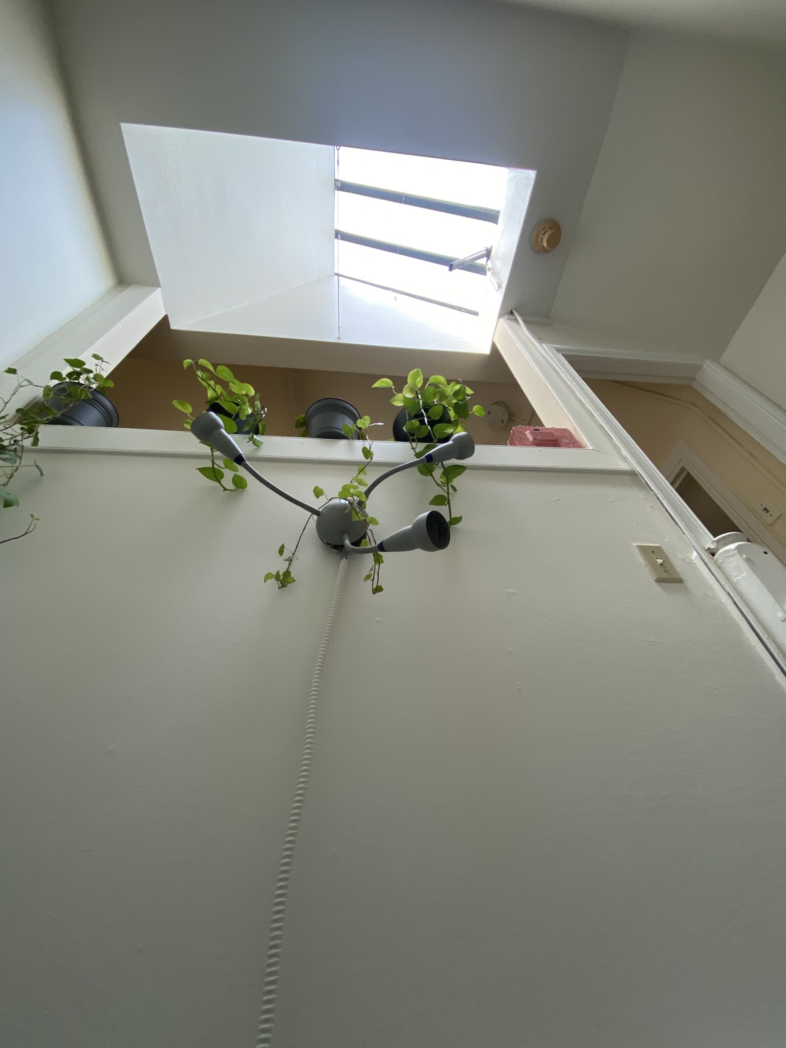 32 Irving St, Beacon Hill